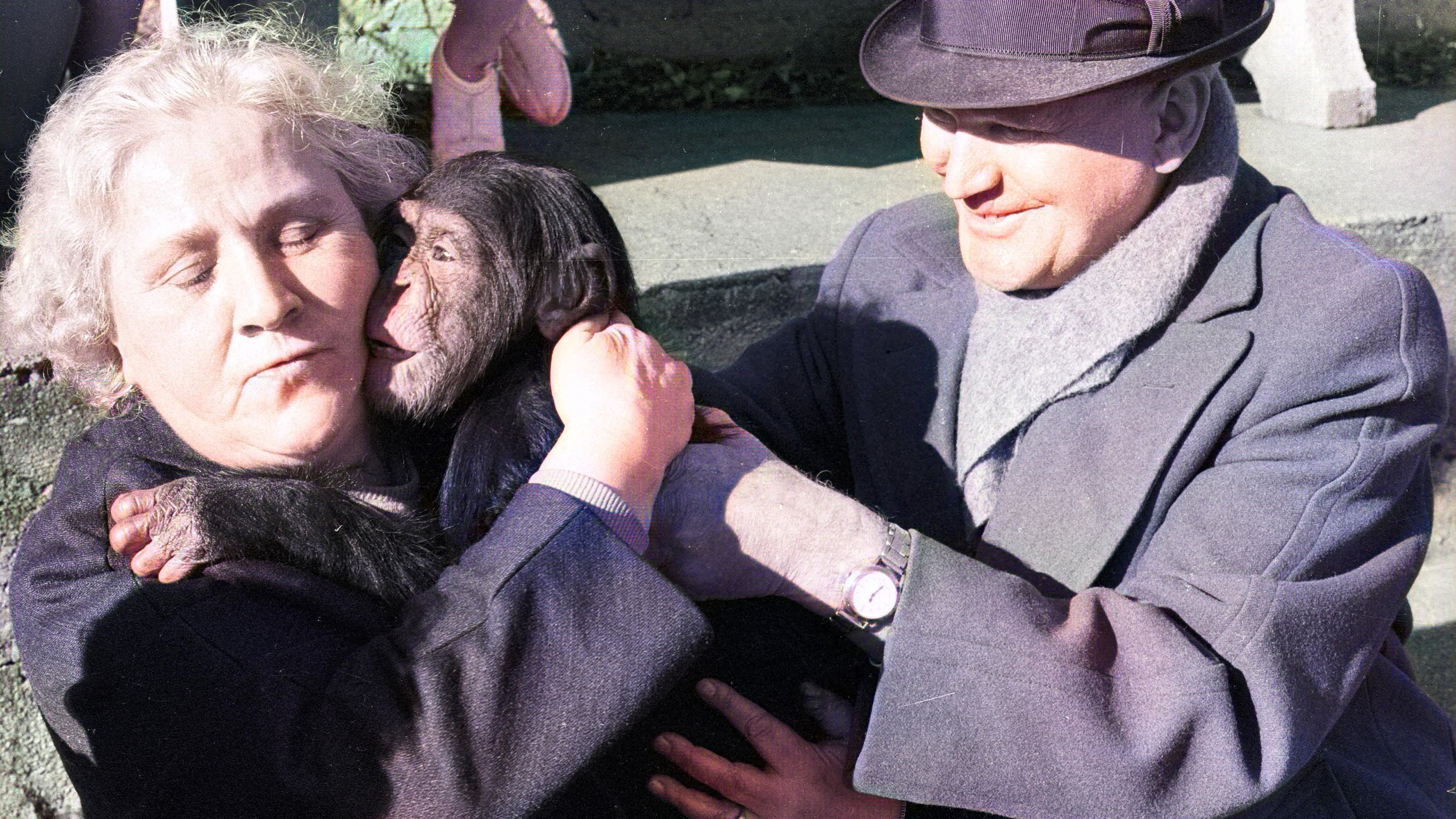 Backdrop for Land of Silence and Darkness