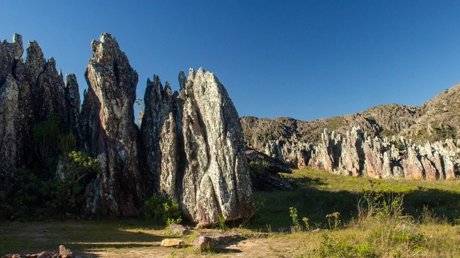 Backdrop for Música à Beira do Mundo