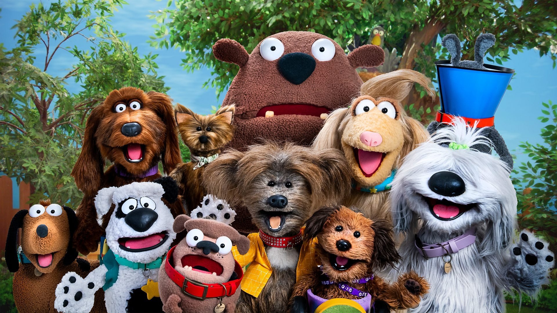 Backdrop for Dodge's Pup School