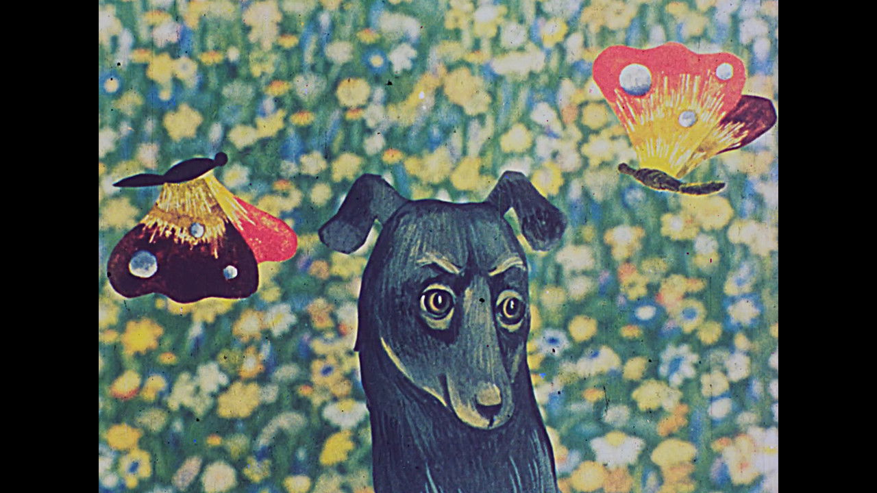 Backdrop for Andriesh