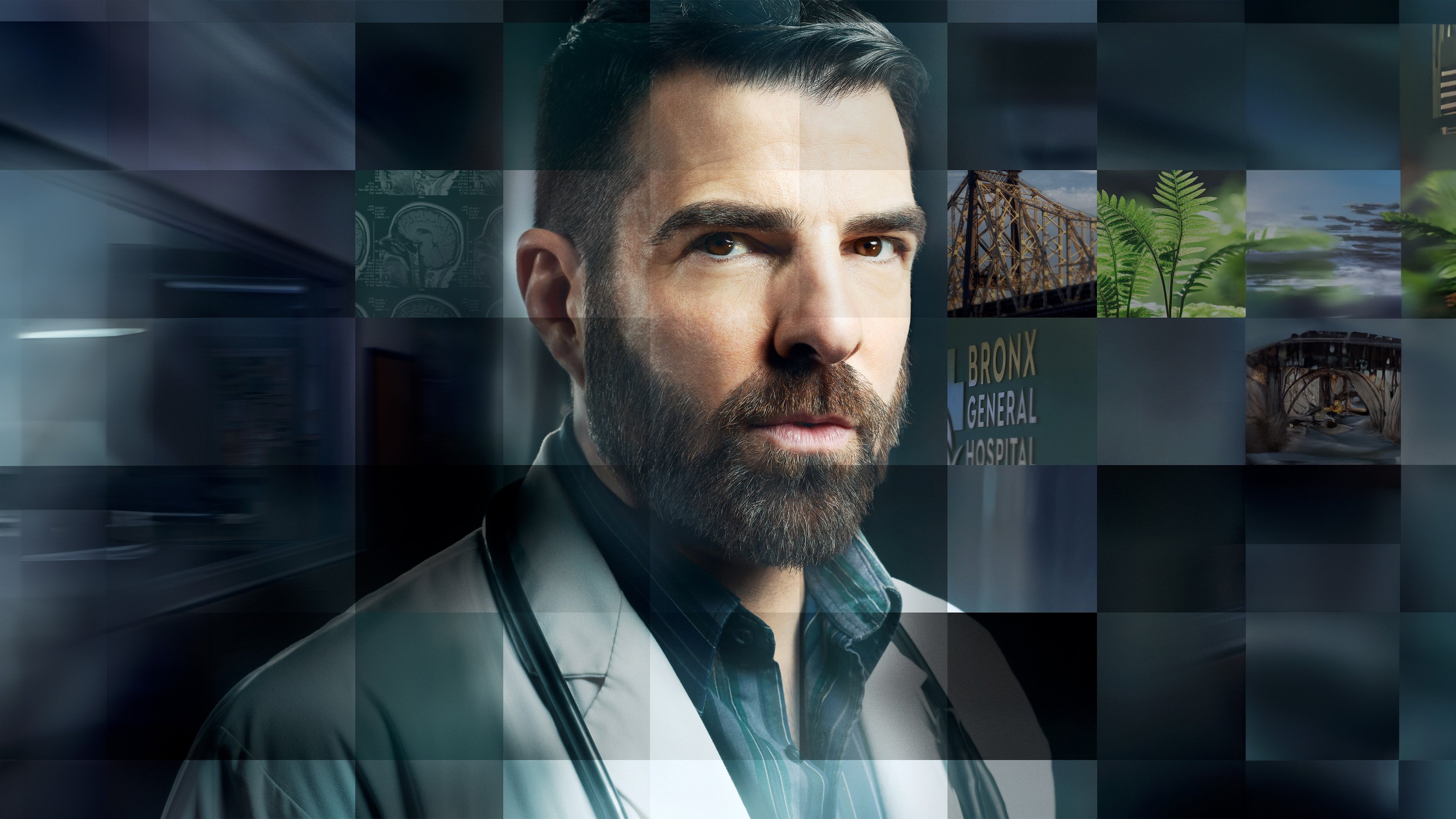 Backdrop for Brilliant Minds