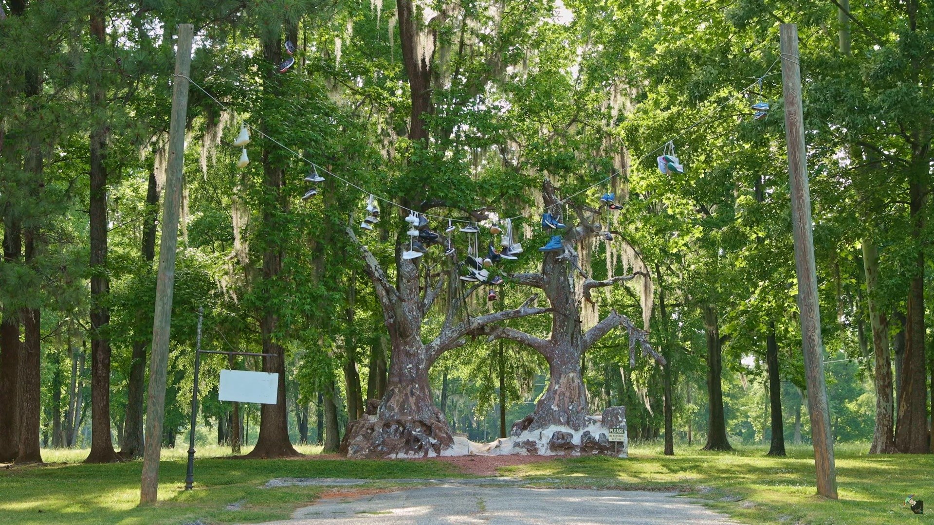 Backdrop for Spectre