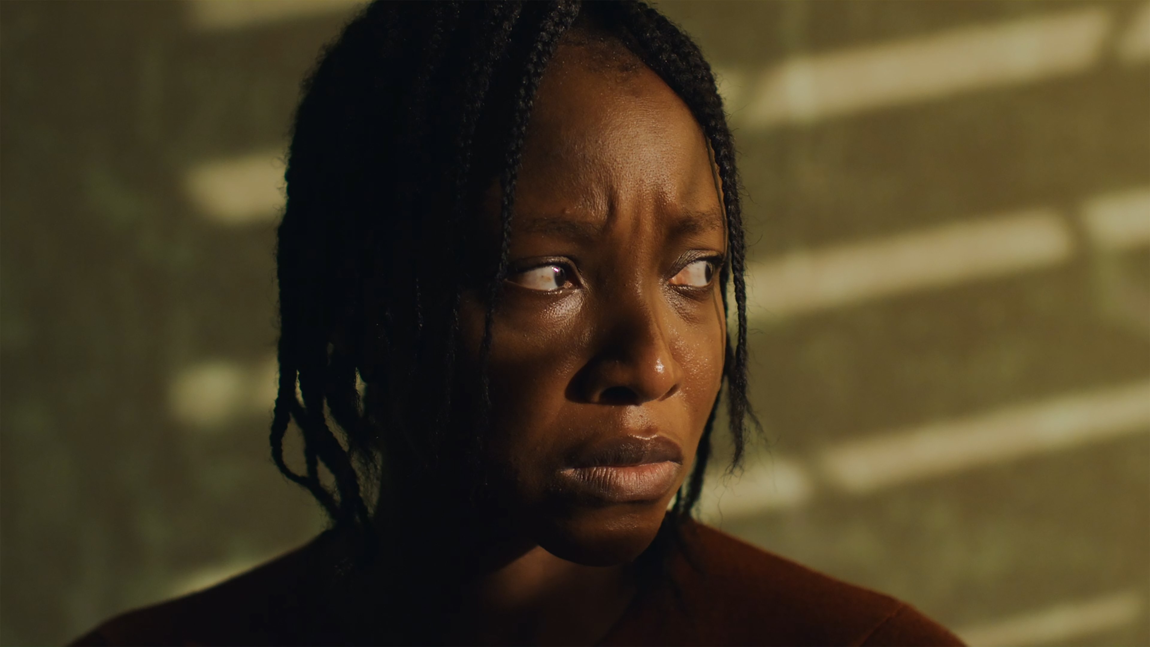 Backdrop for The Fire and the Moth