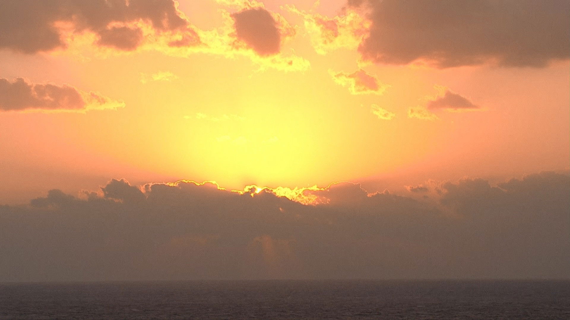 Backdrop for Hi-Definition Reference Disc