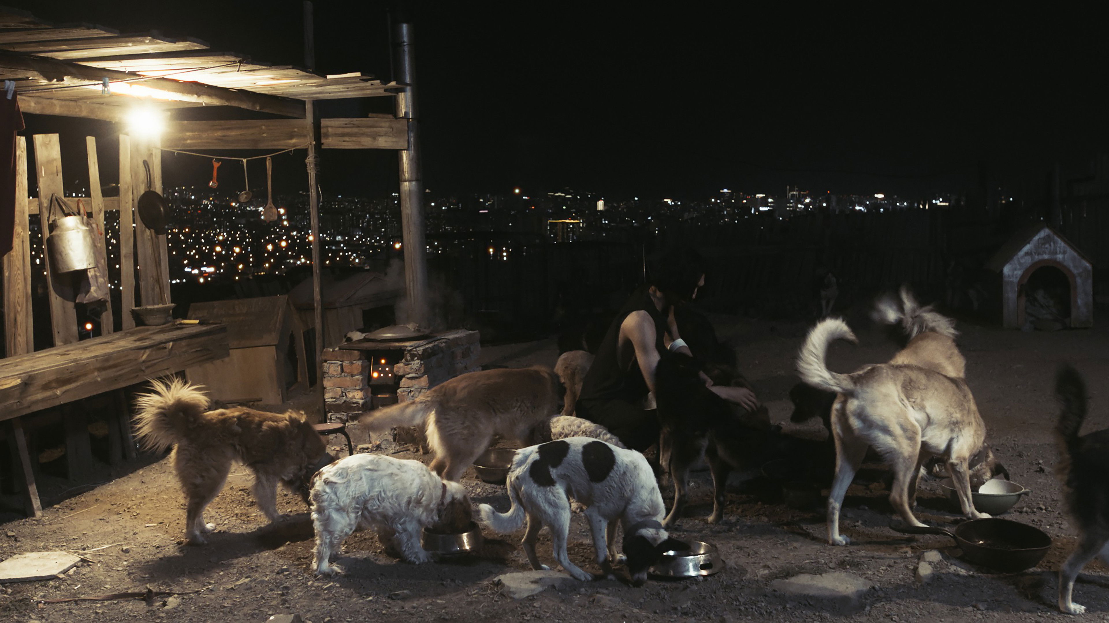 Backdrop for Silent City Driver