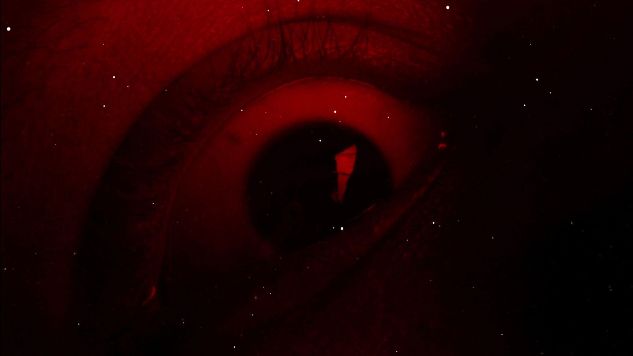 Backdrop for Die Vormacht