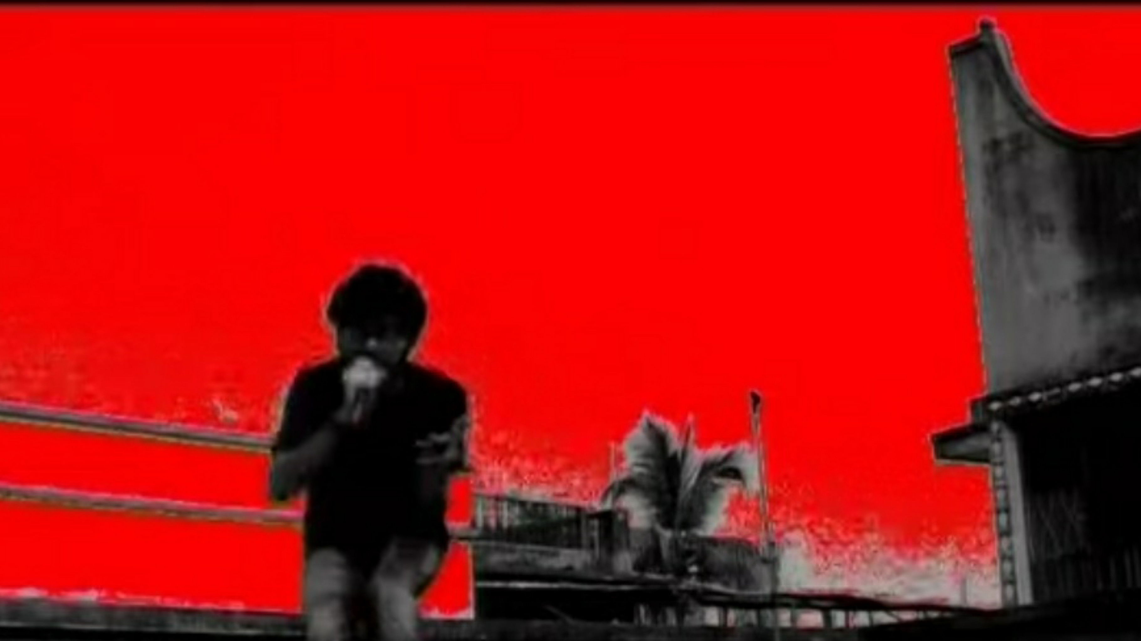 Backdrop for Le Pocha