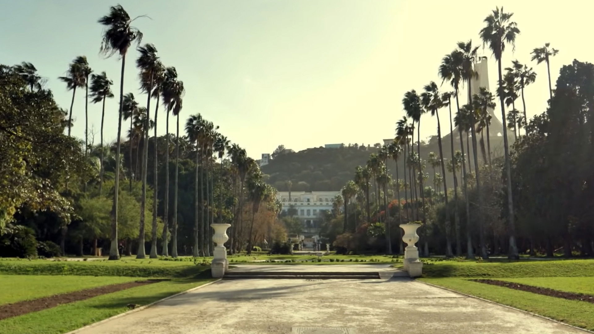 Backdrop for Algérie secrète