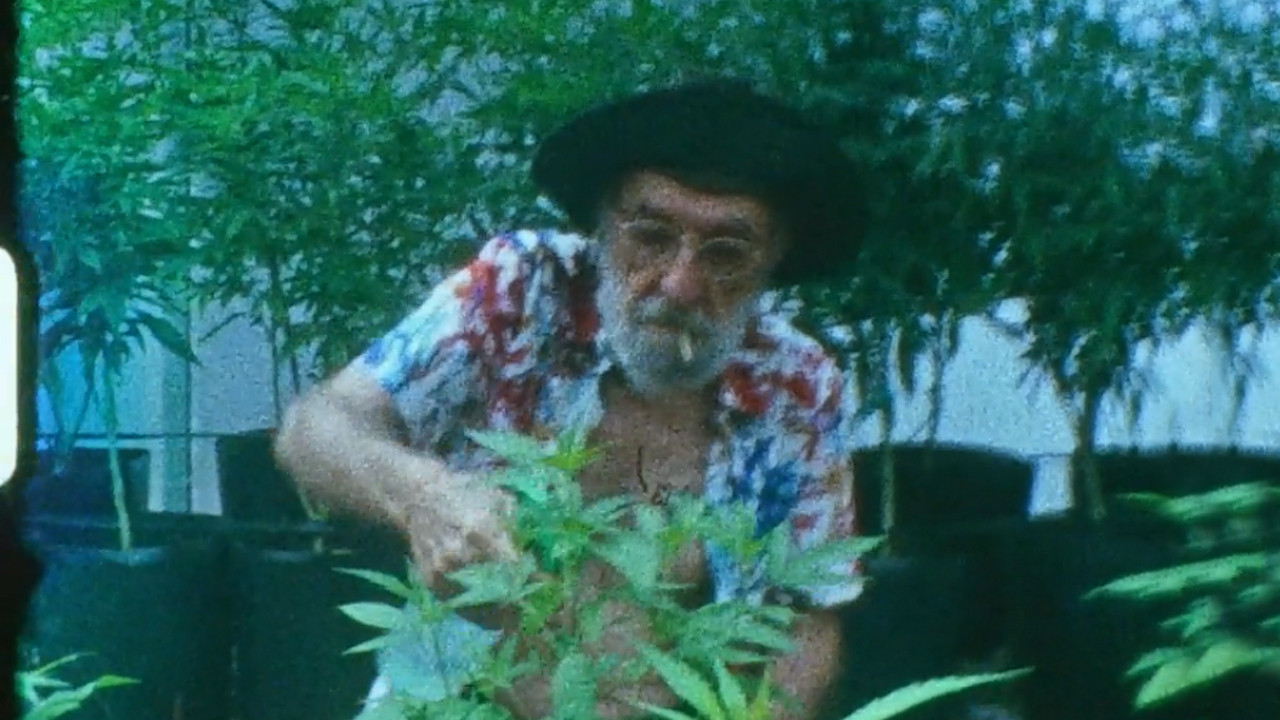 Backdrop for Conserva