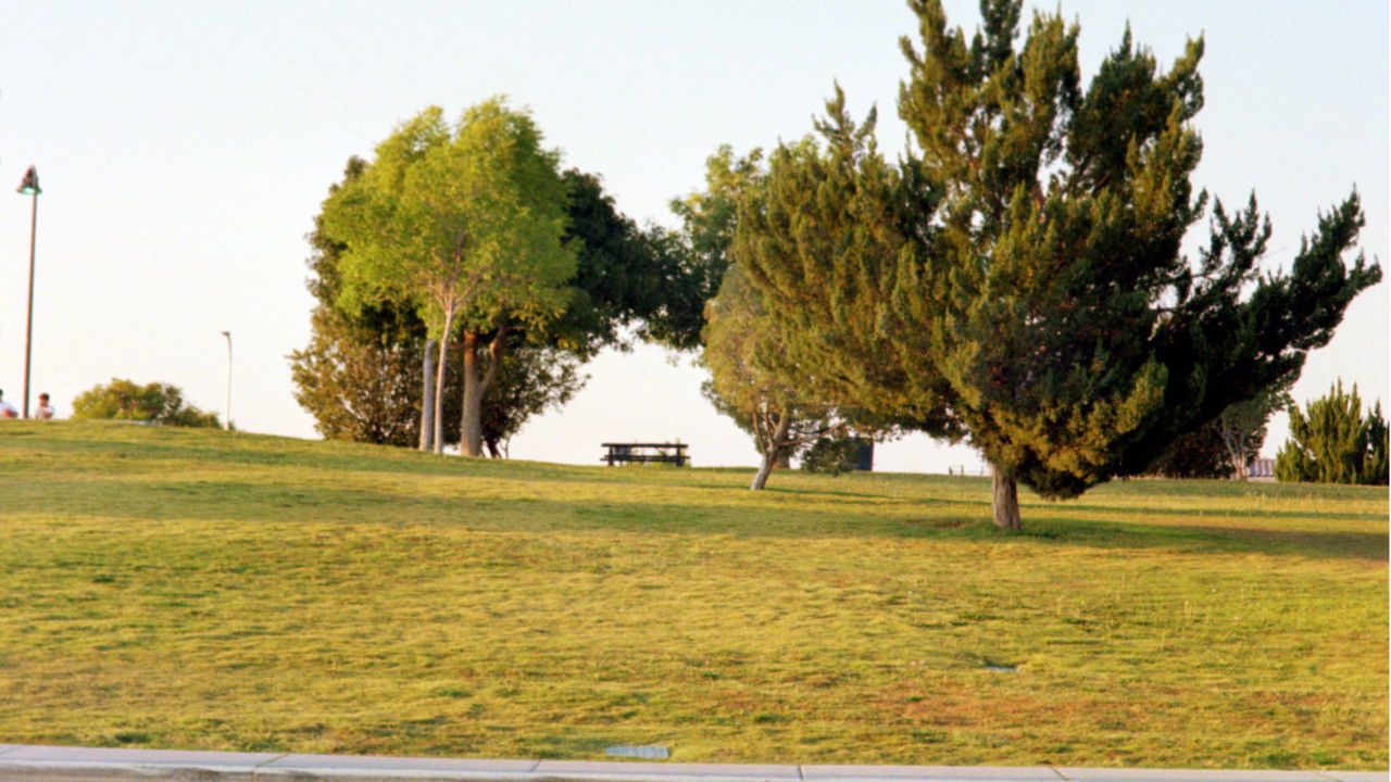Backdrop for The Last Conversation