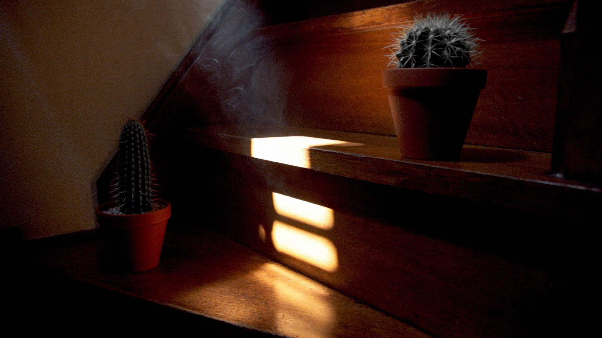 Backdrop for It Has Already Been Ended Before You Can See the End