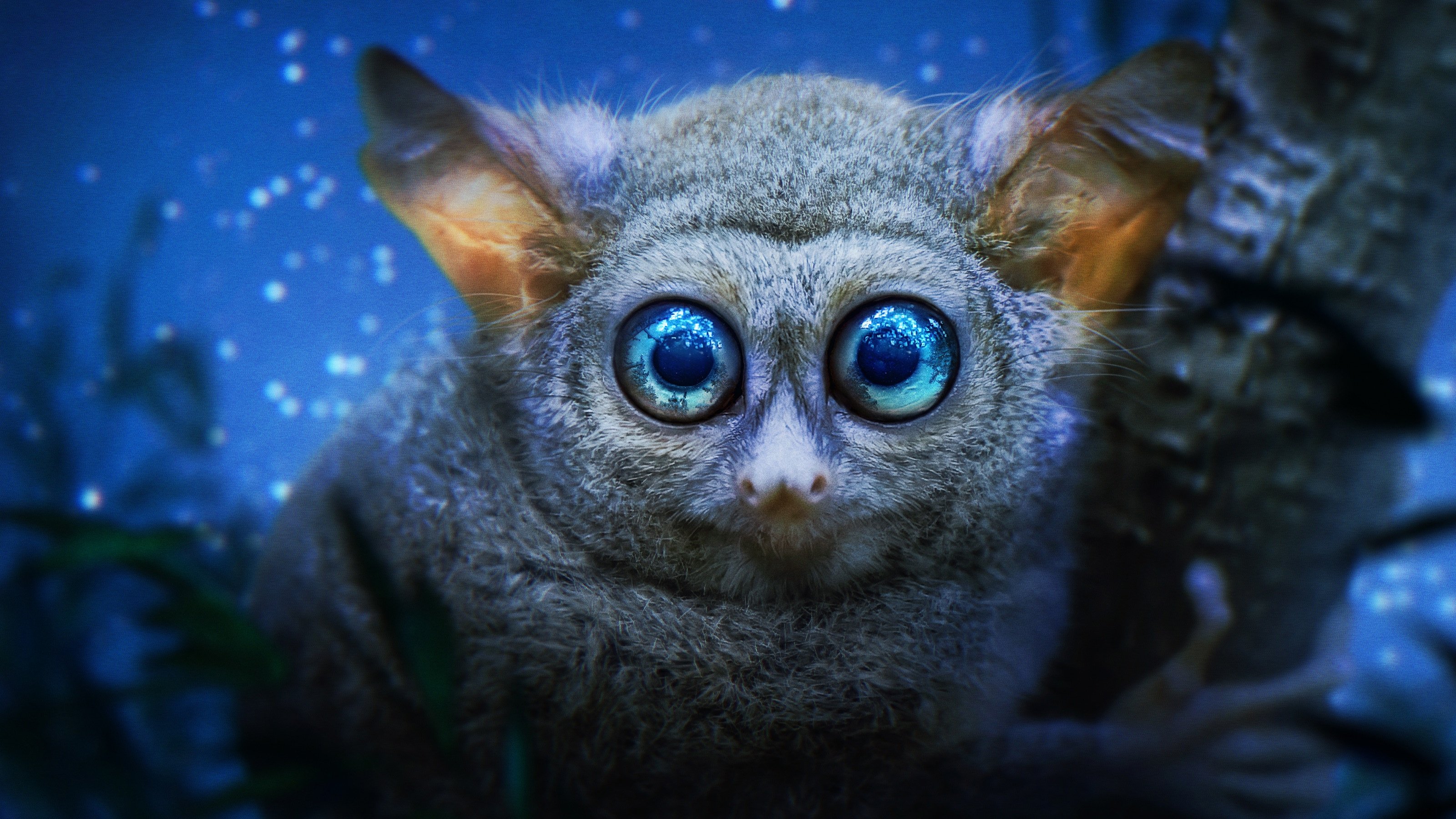 Backdrop for Earth at Night in Colour