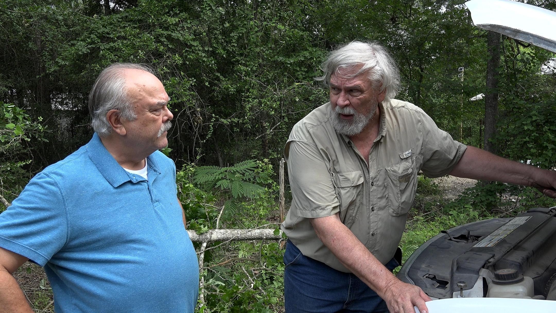 Backdrop for The Quachita Beast Incident