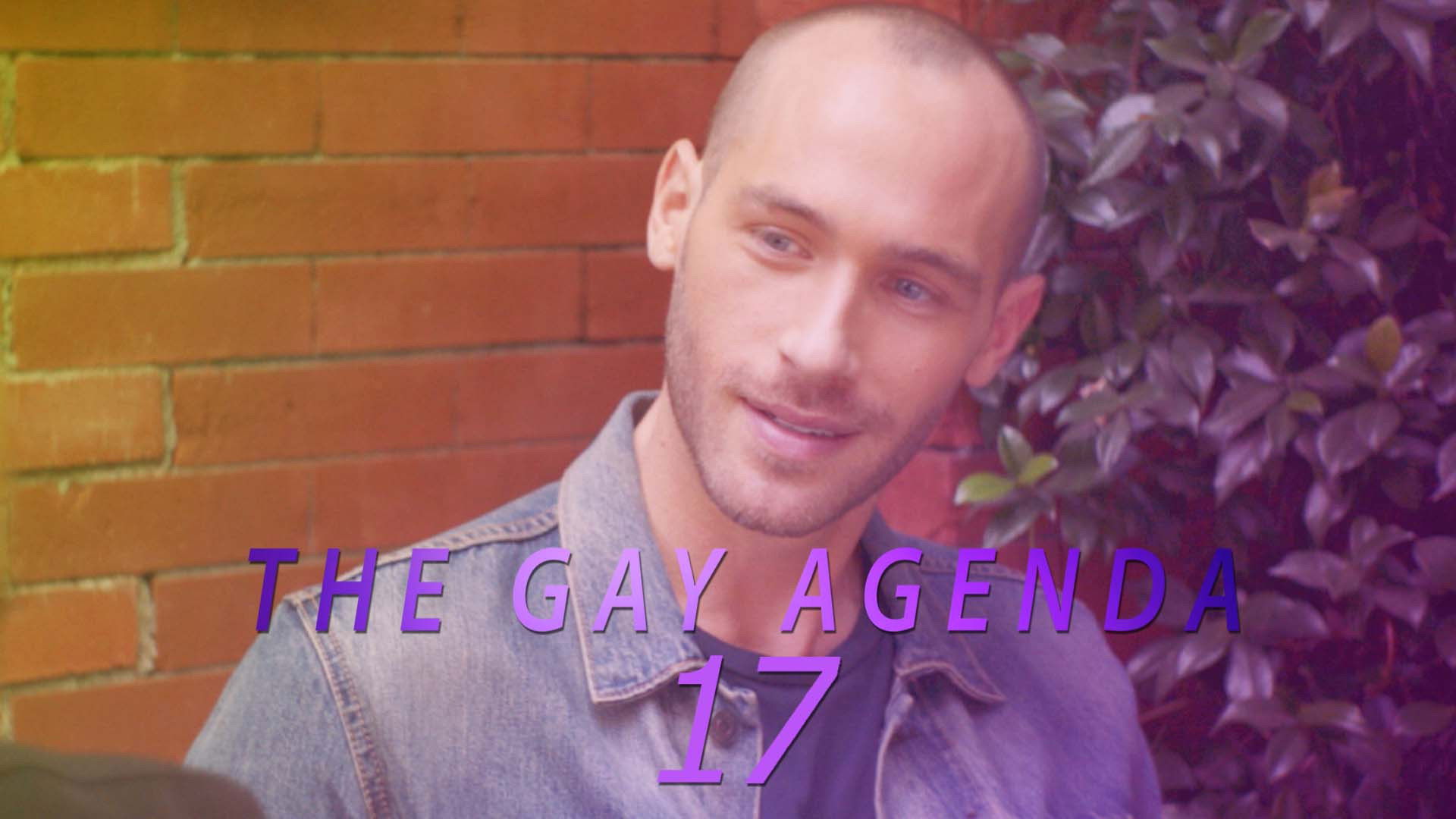Backdrop for The Gay Agenda 17