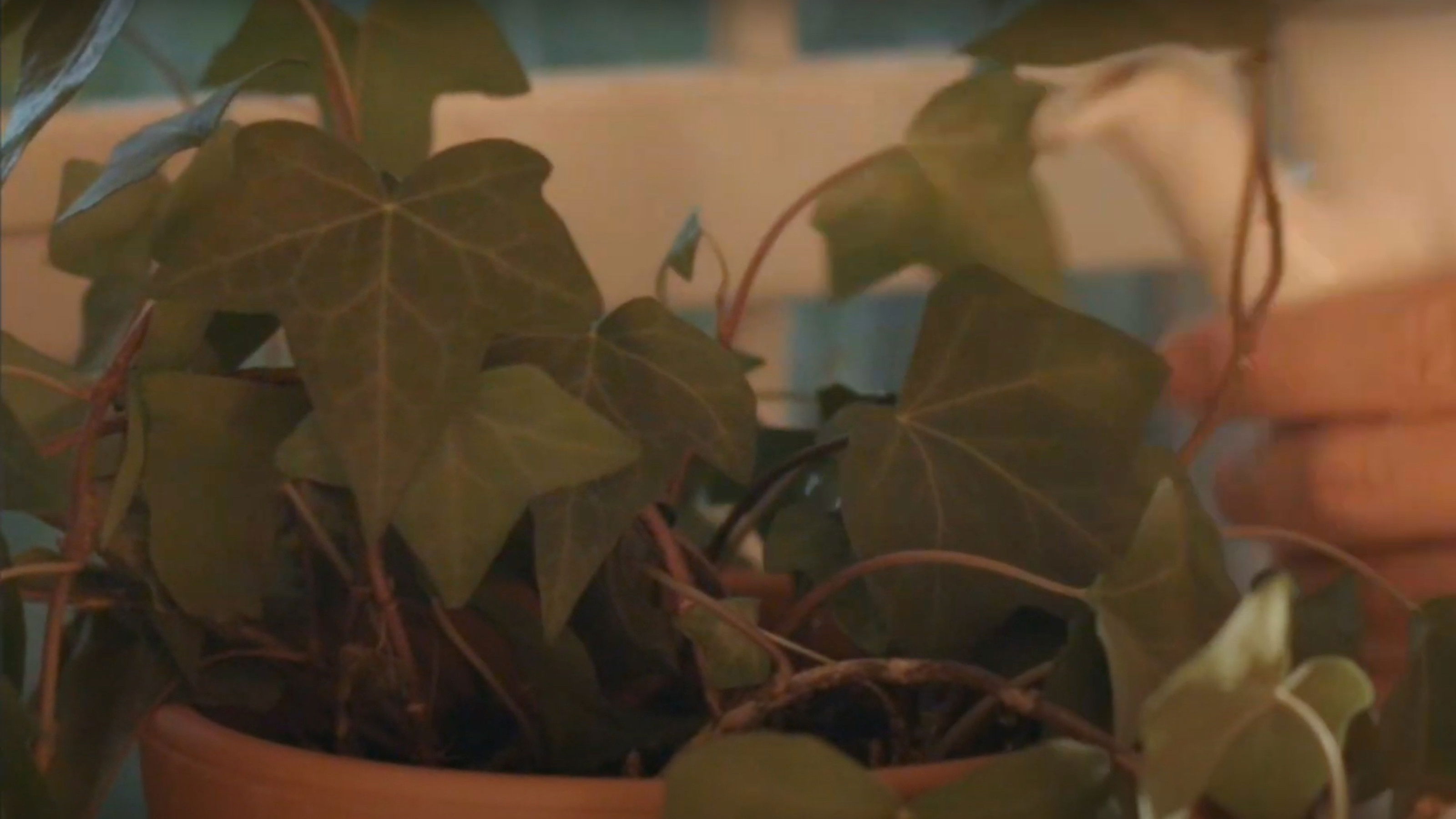 Backdrop for Friends of Mine: “Mental Health”