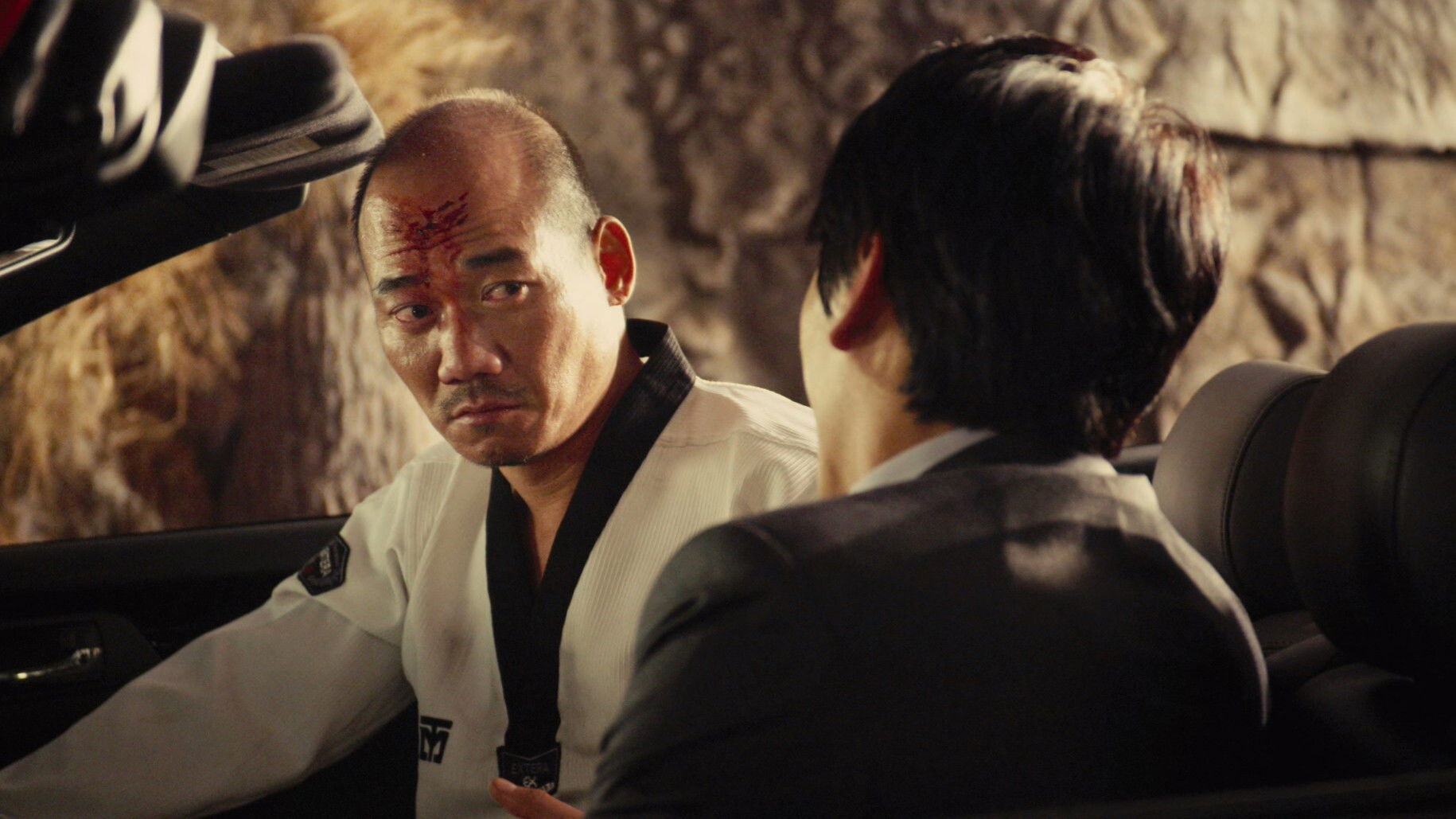 Backdrop for Elephant in the Room