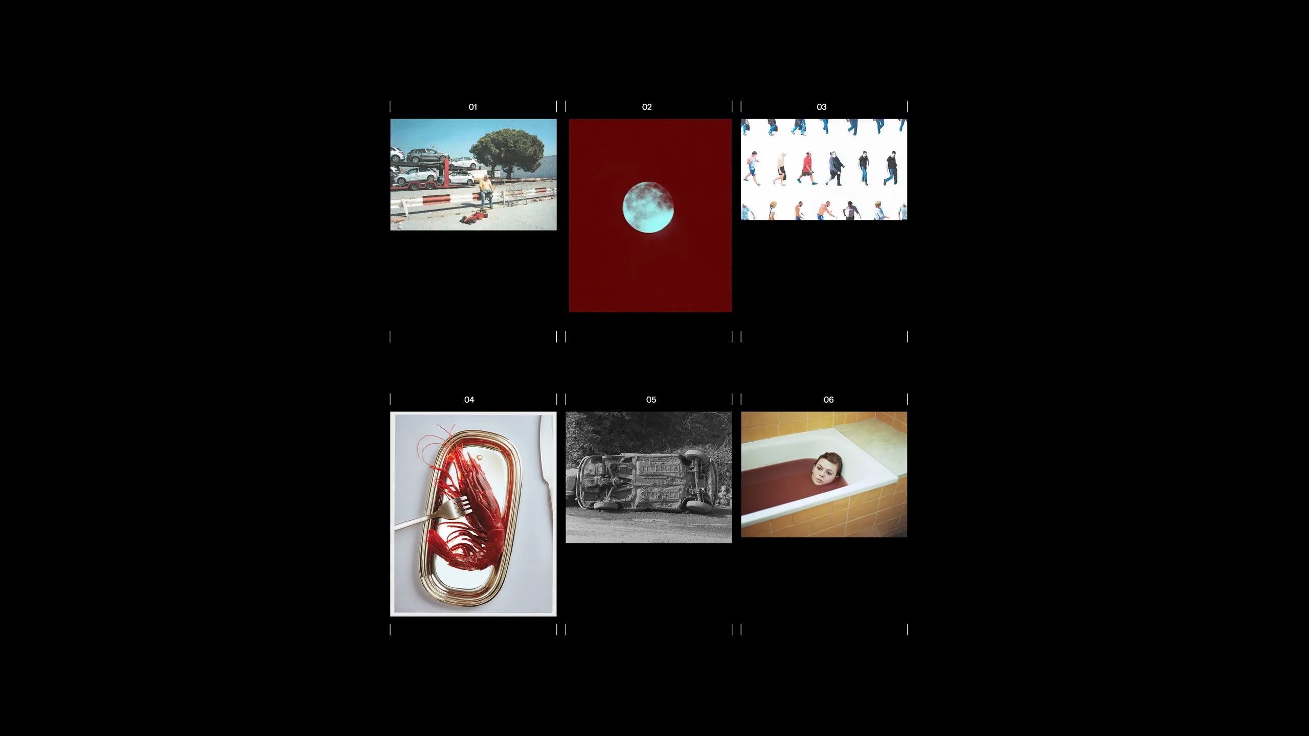 Backdrop for Diaris fotogràfics