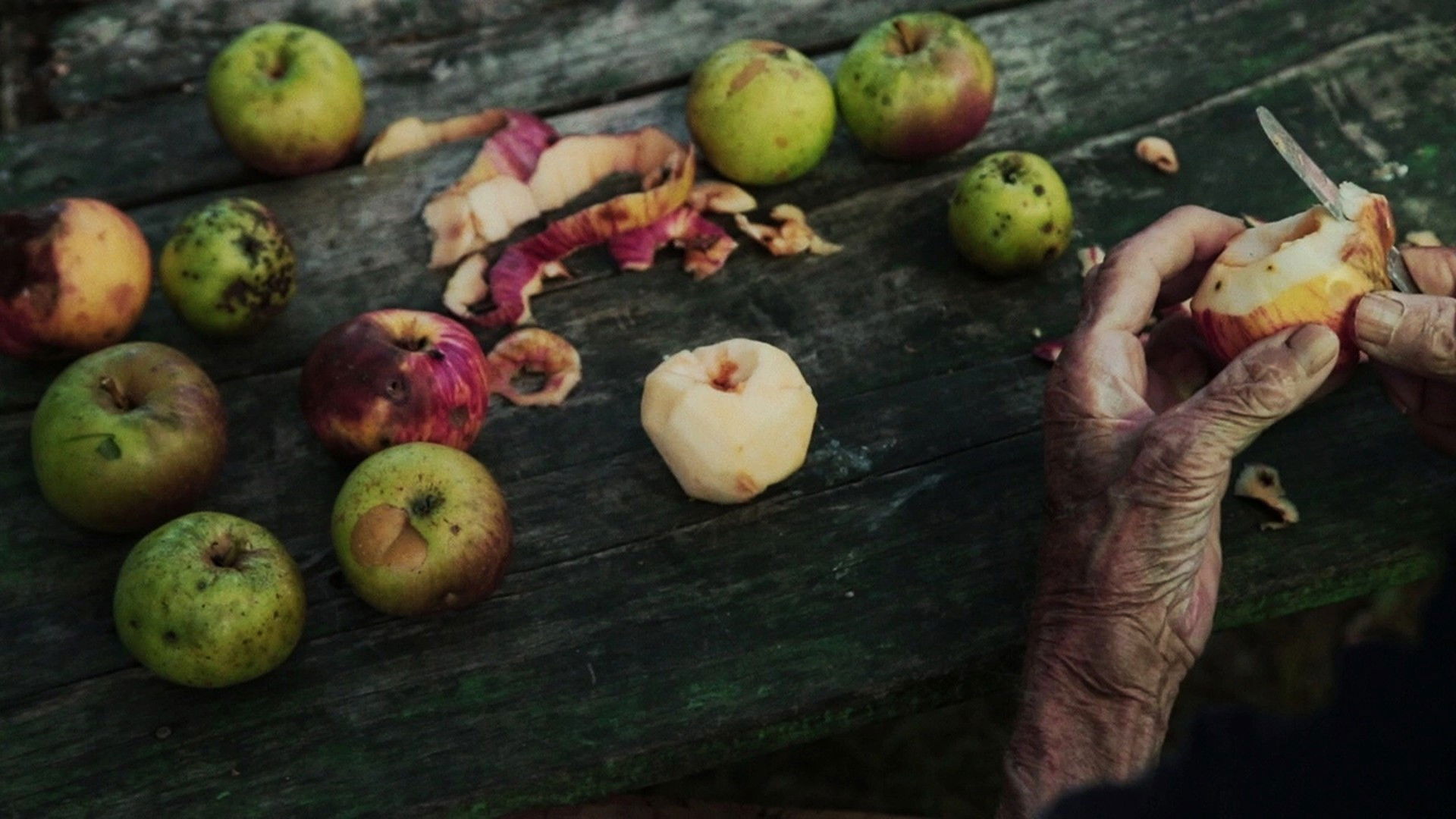 Backdrop for Then Comes the Evening