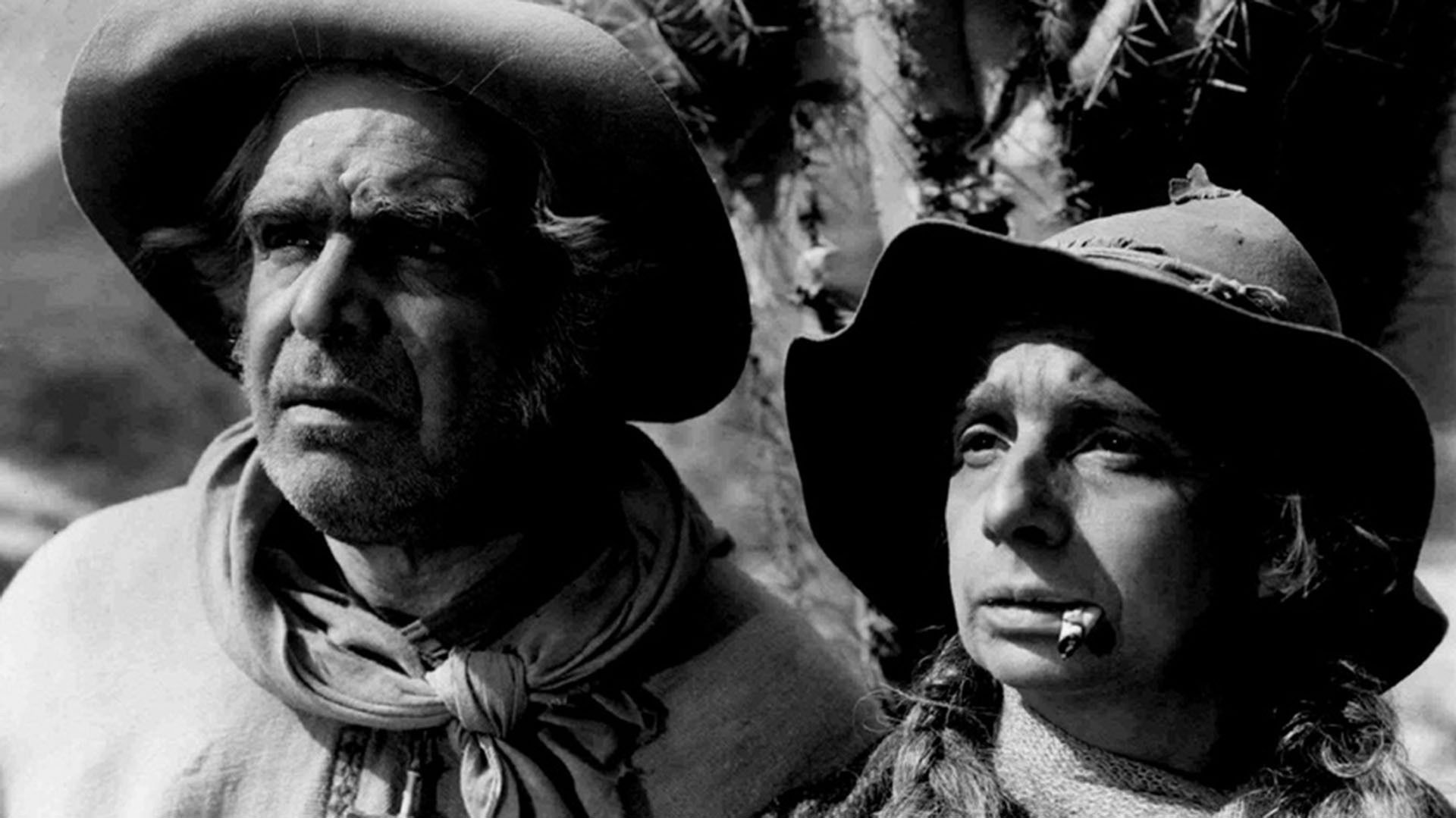 Backdrop for The Gaucho War