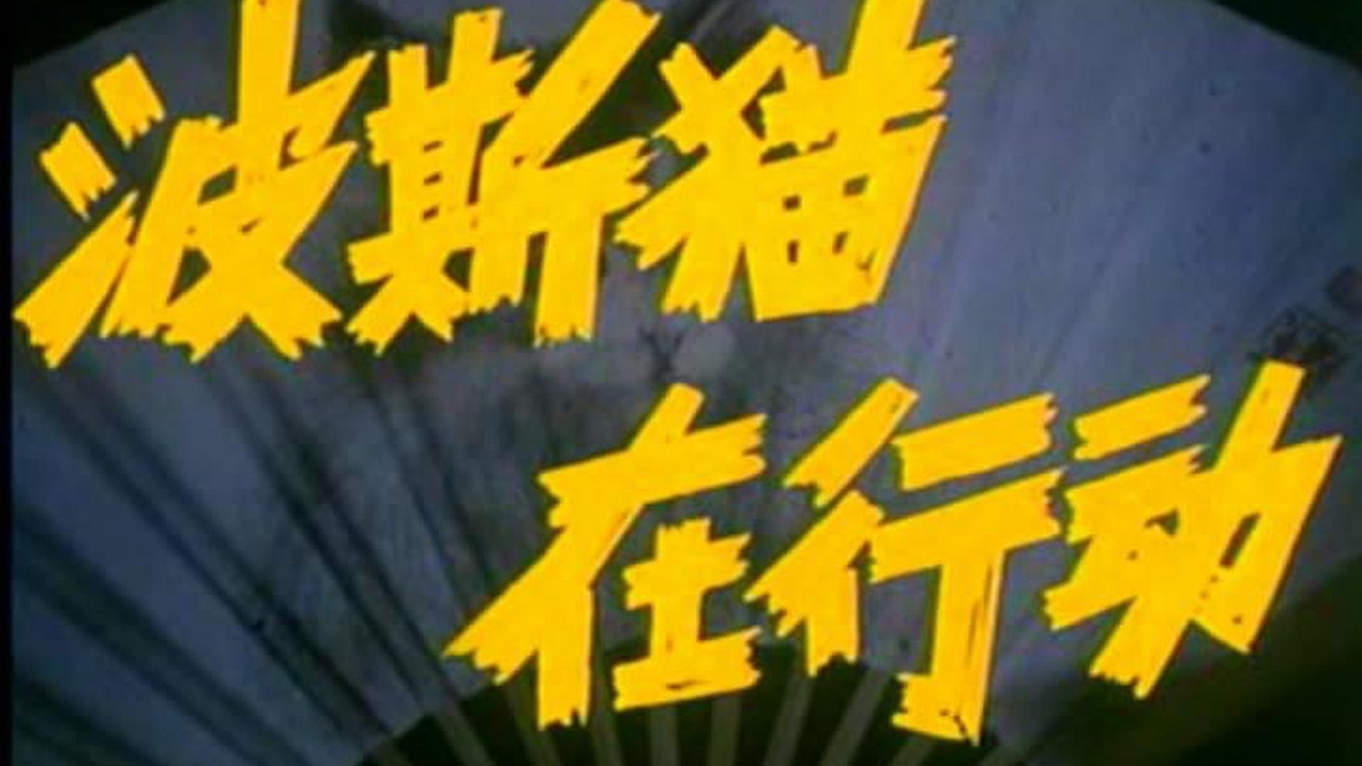 Backdrop for Persian Cat Is on Action