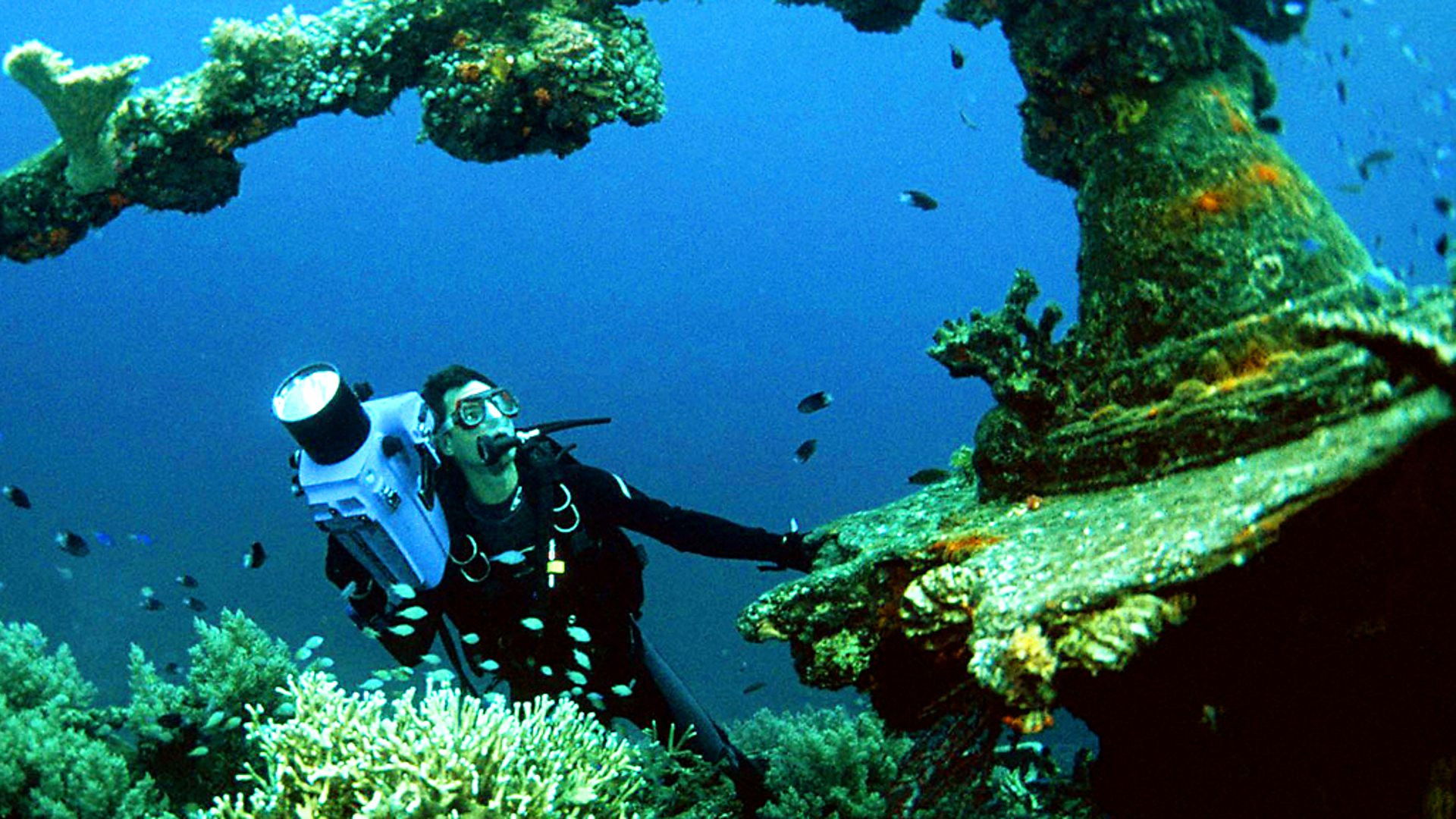 Backdrop for Pacific Abyss