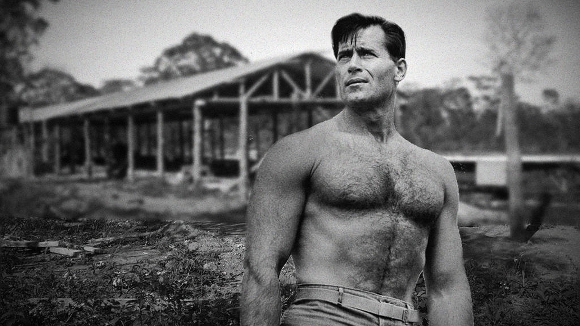 Backdrop for Cheyenne