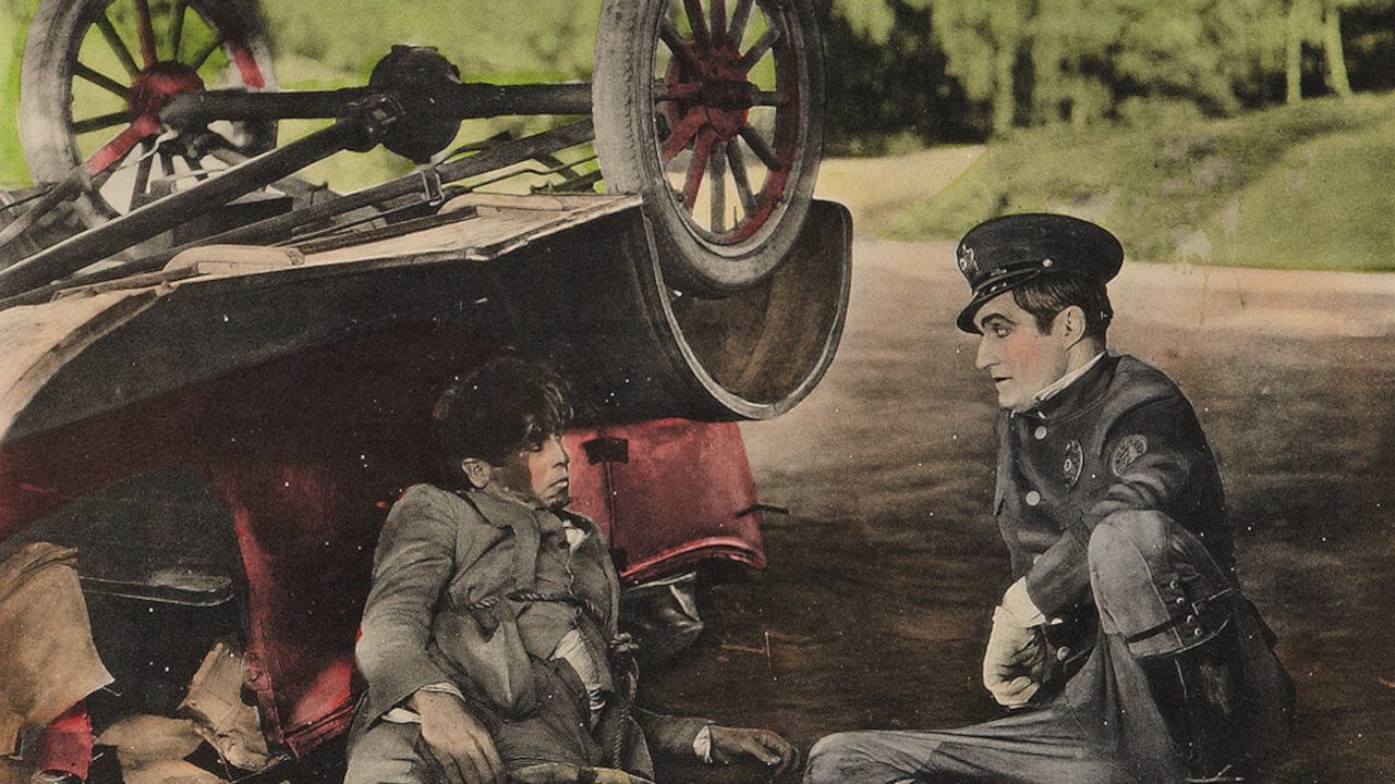 Backdrop for My Own Pal