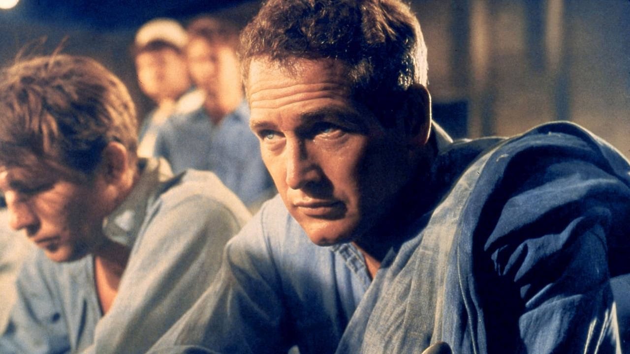 Backdrop for Paul Newman: The Restless