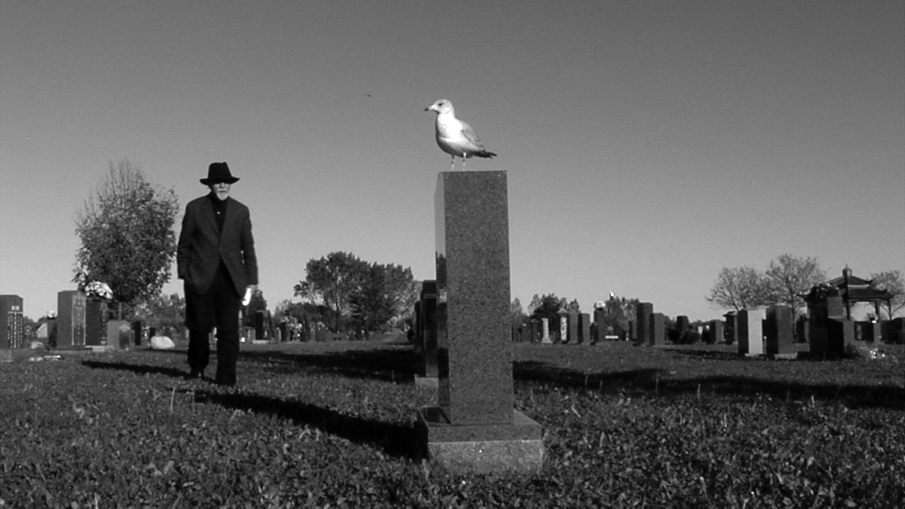 Backdrop for Alchemy & Dust