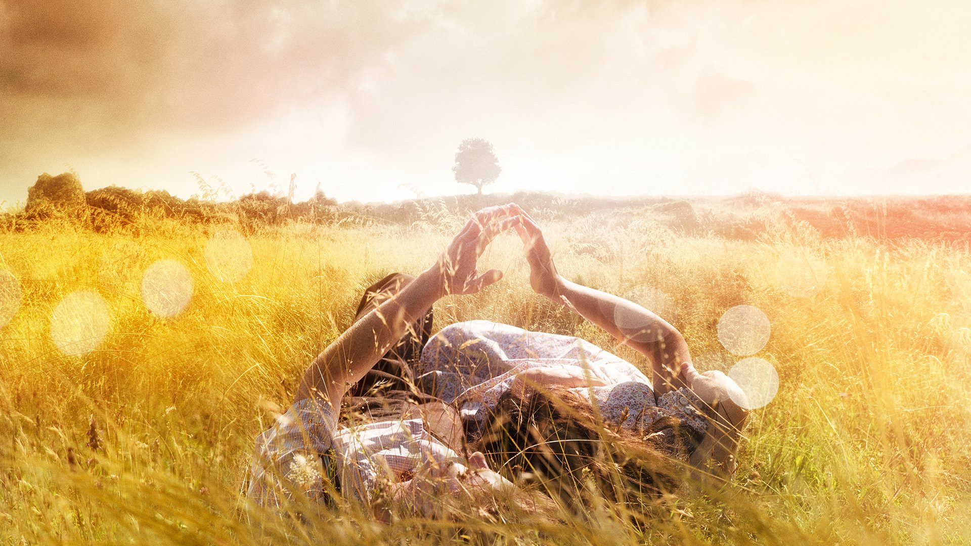 Backdrop for The History of Love