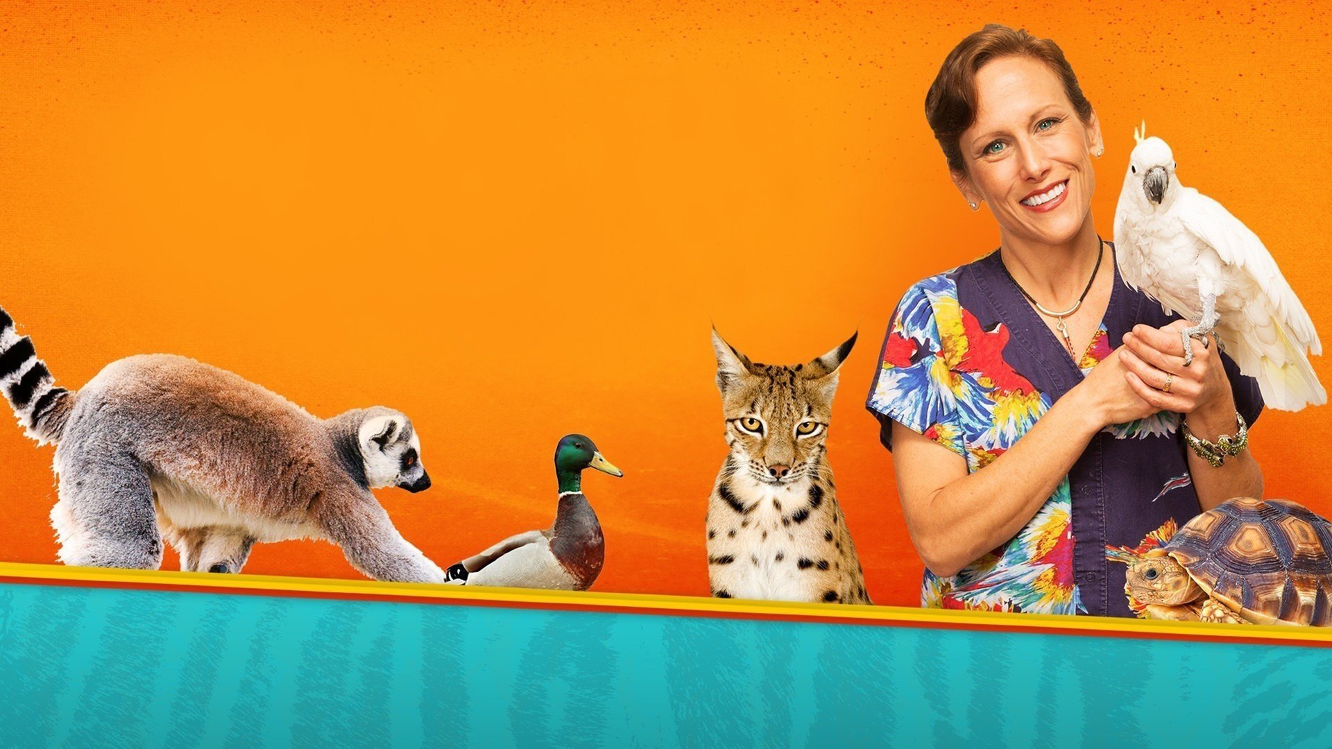 Backdrop for Dr. K's Exotic Animal ER