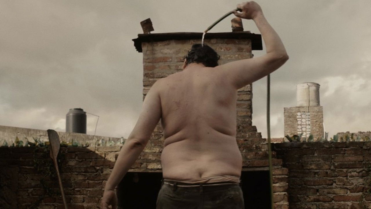 Backdrop for Days of Rain