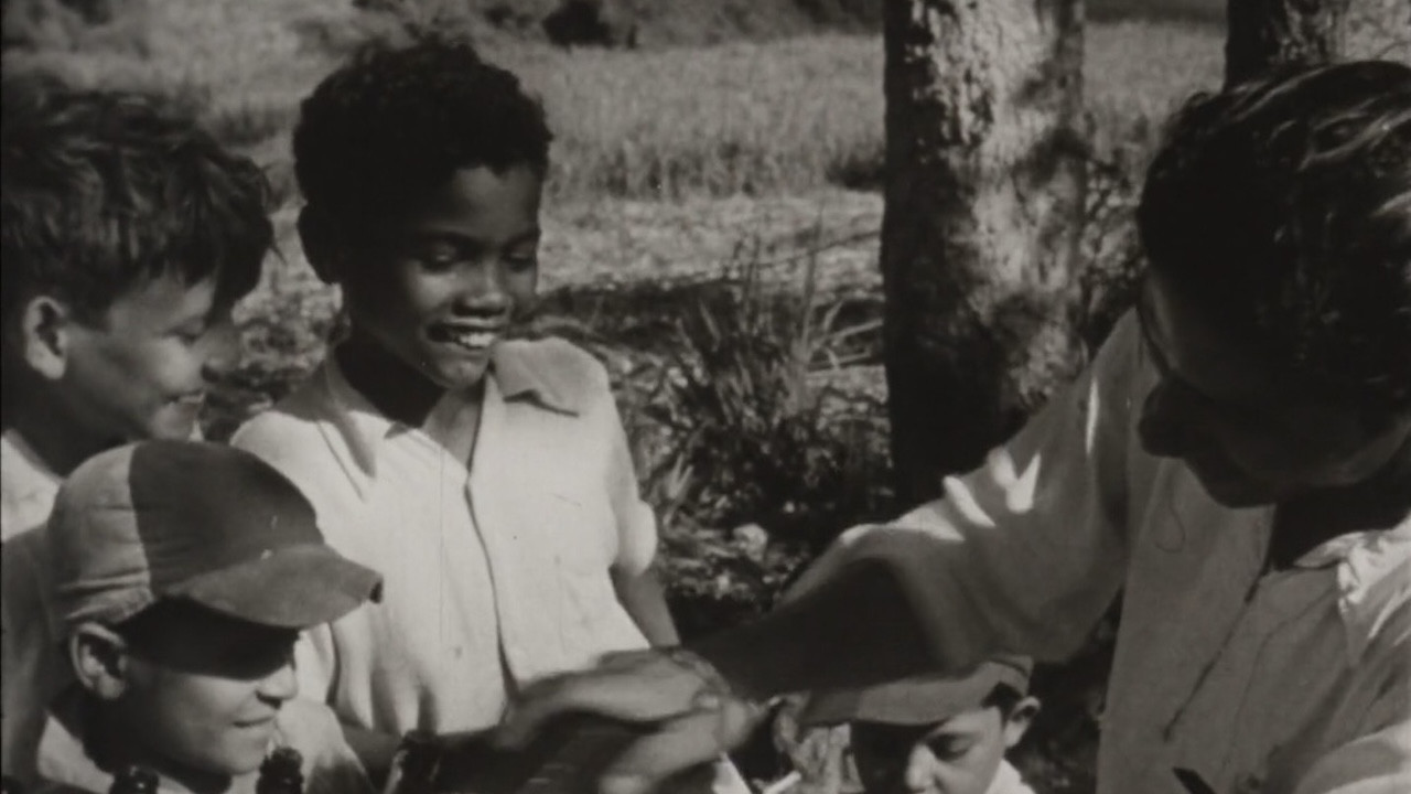 Backdrop for Roots of Happiness