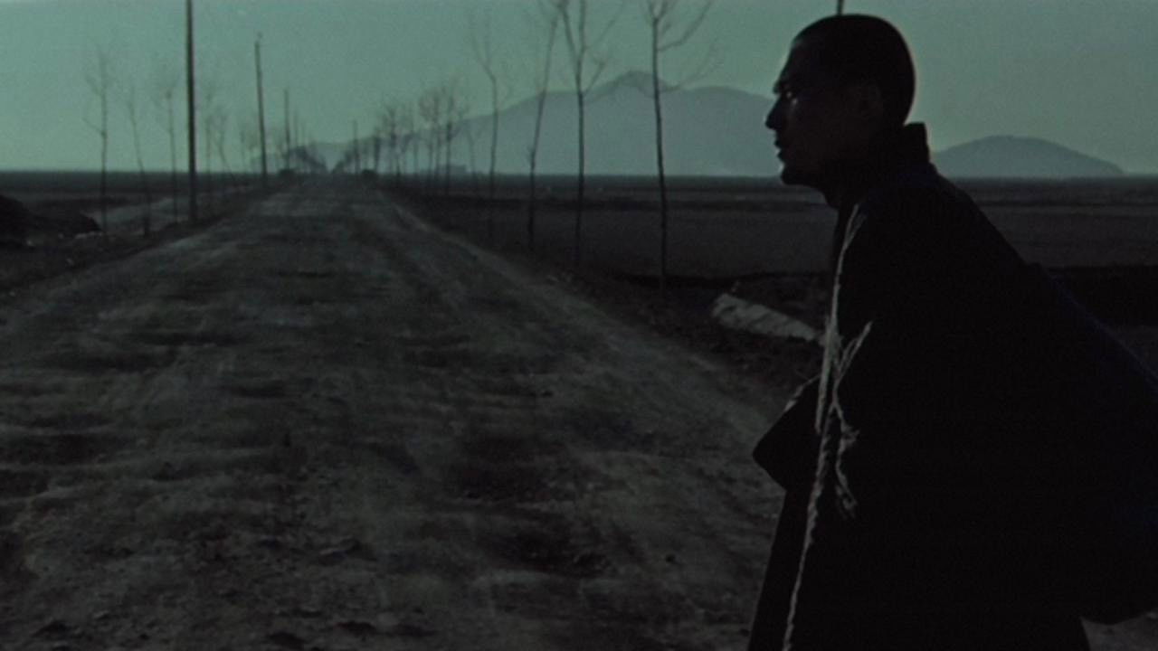 Backdrop for Mandala