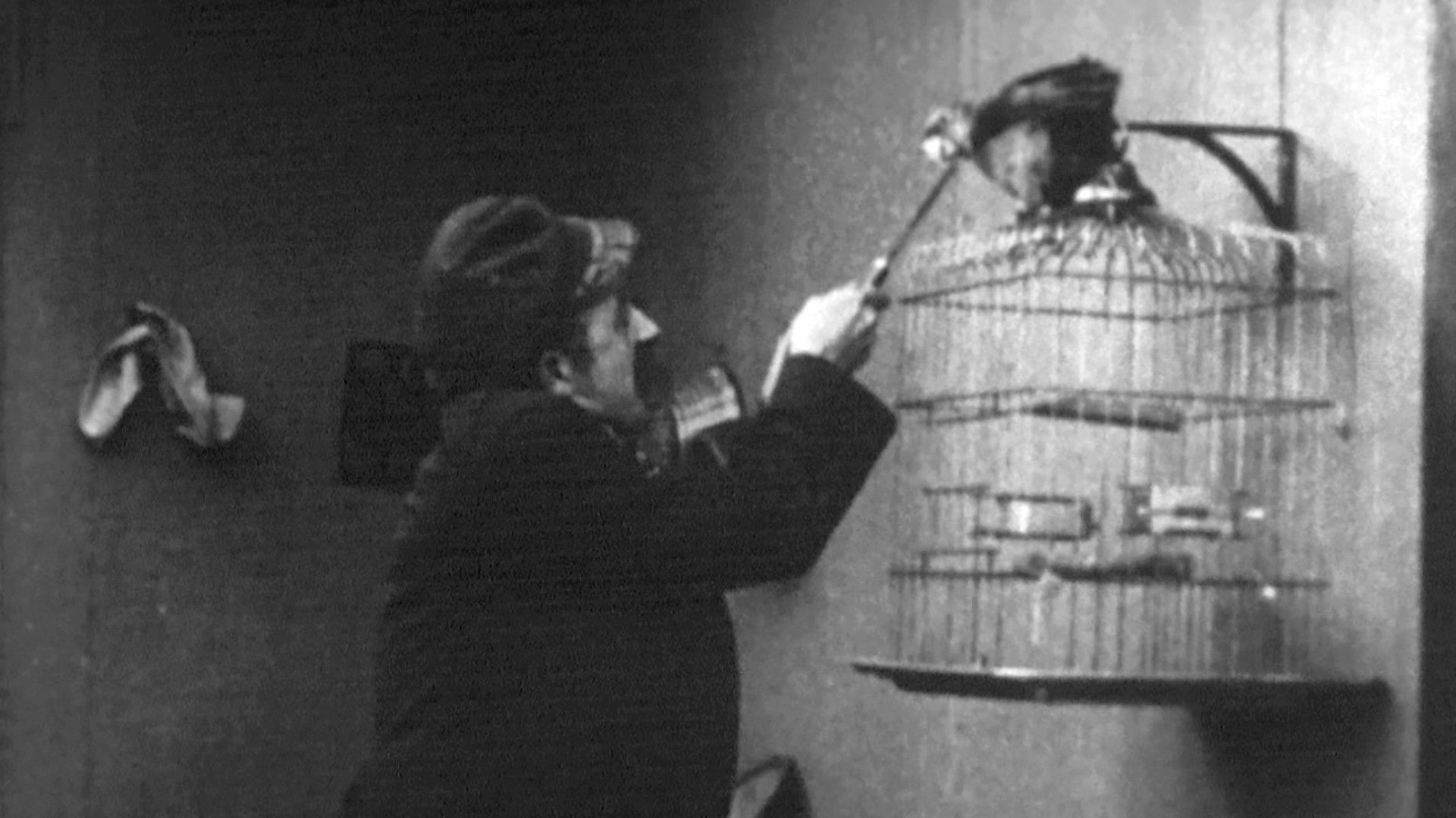 Backdrop for A Bird's a Bird