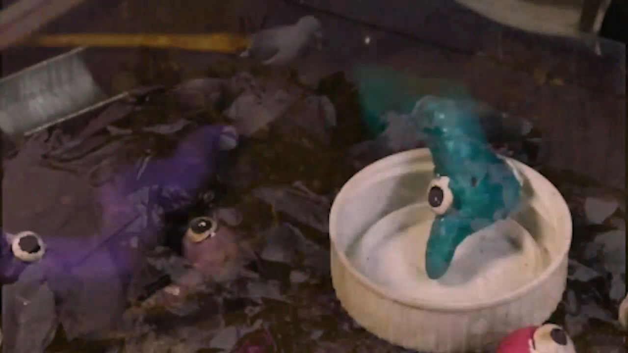 Backdrop for Eles Não nos Deixam ver o Sol