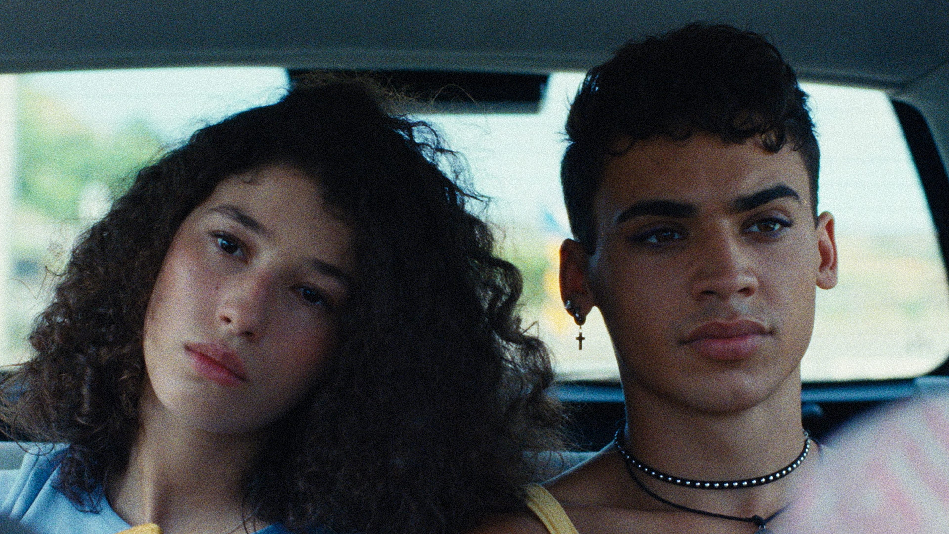 Backdrop for Wolf and Dog