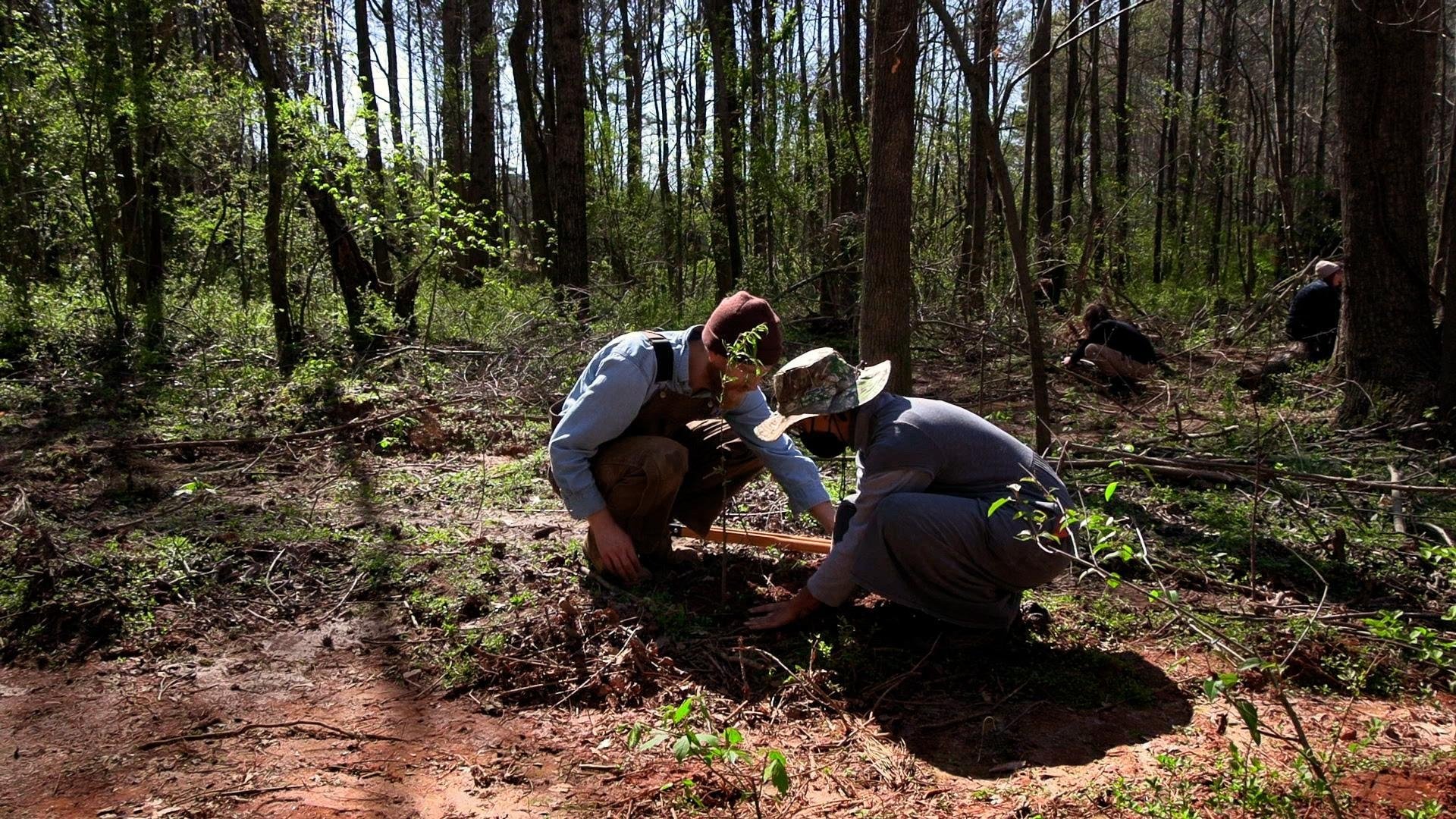 Backdrop for Atlanta Forest Garden: Four Days of Work
