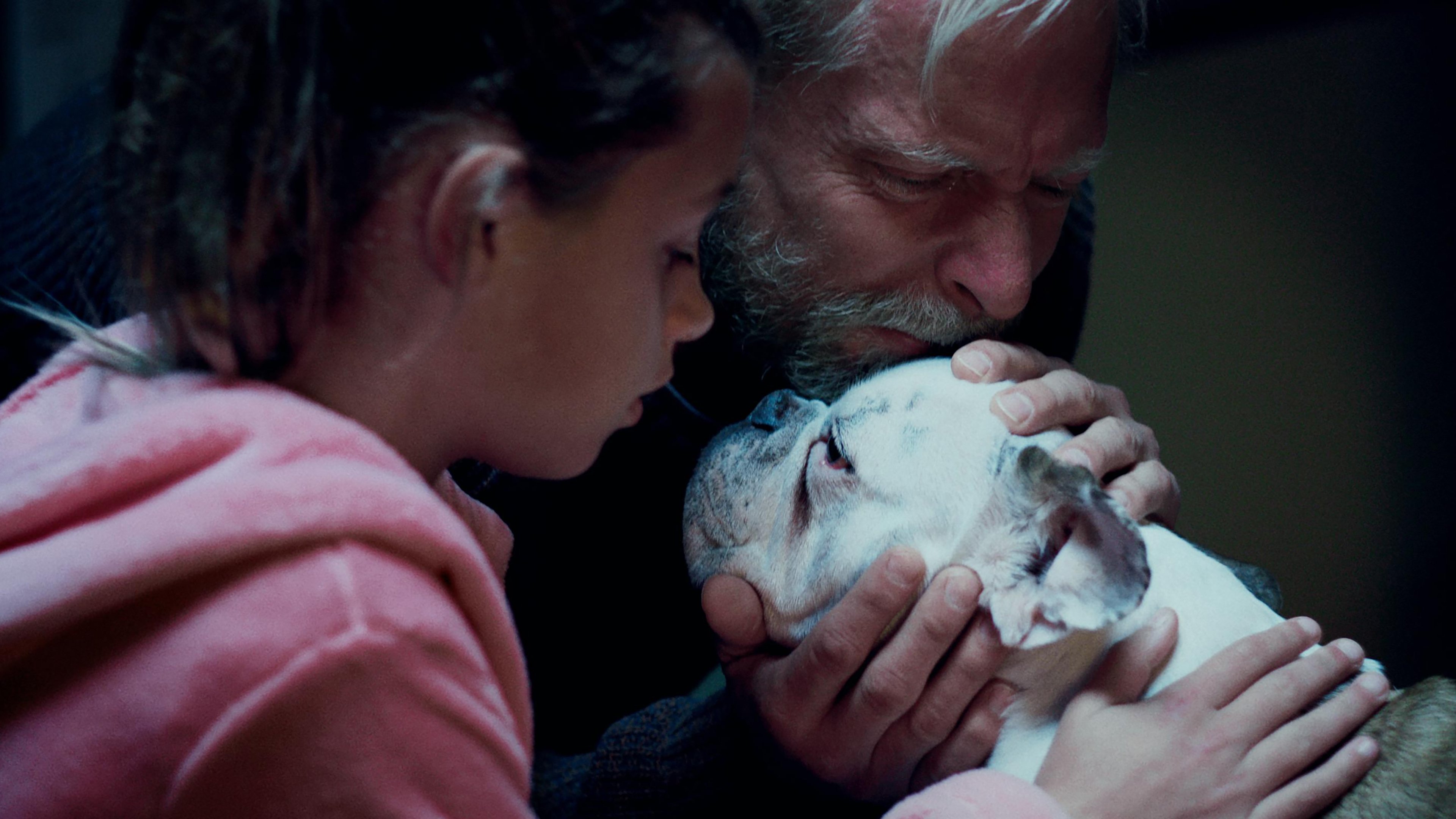 Backdrop for The Dog