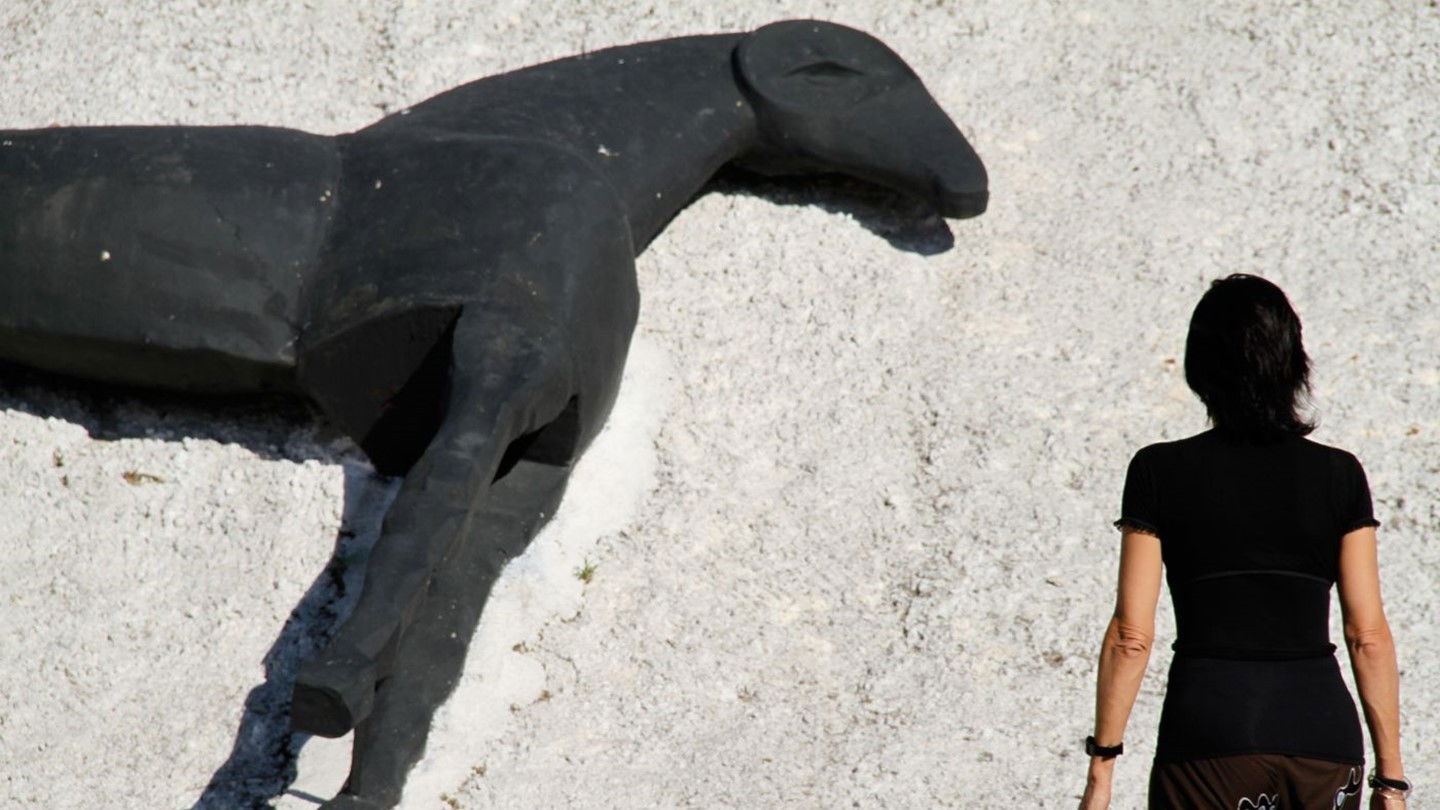 Backdrop for Quiproquo