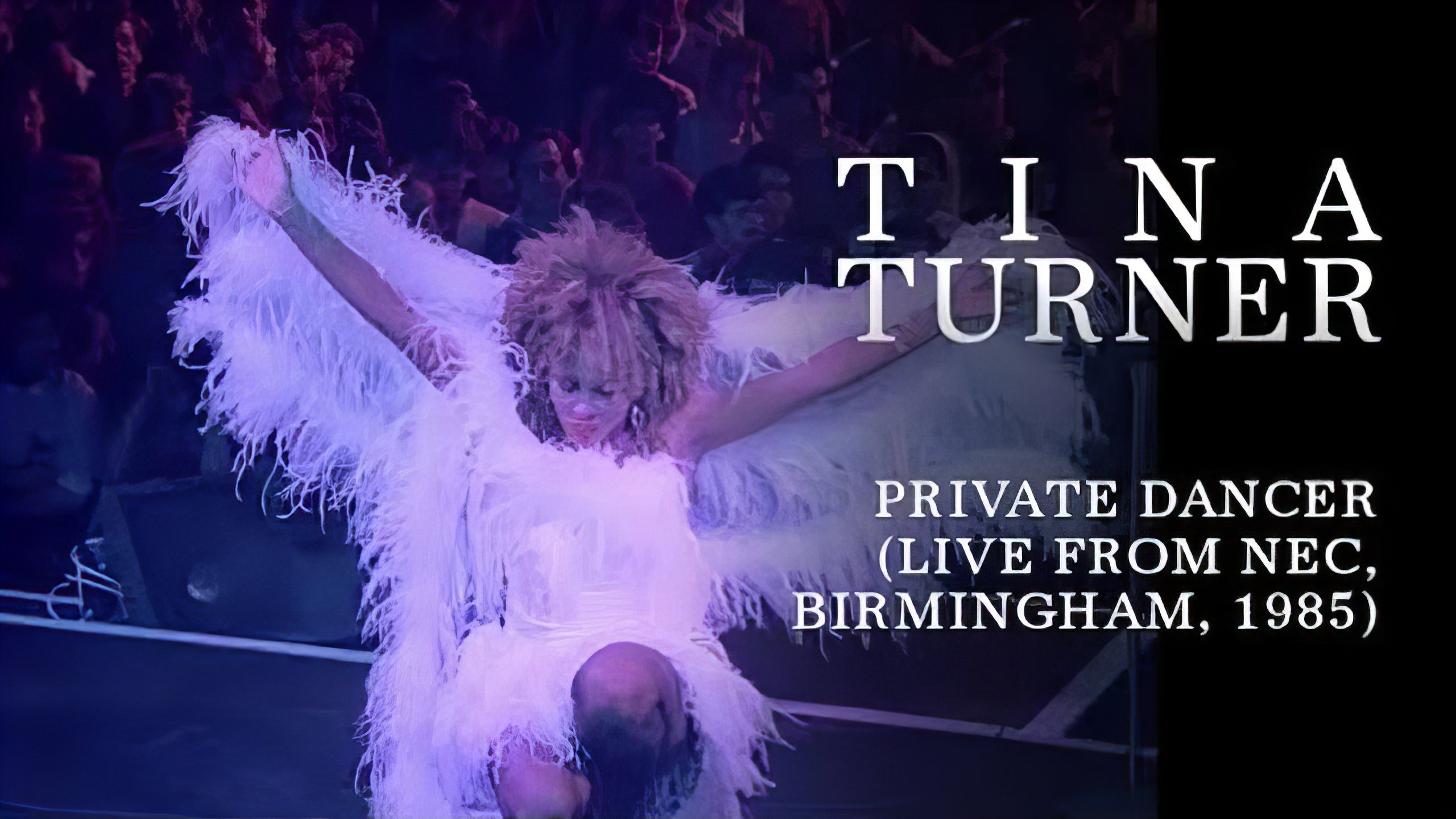 Backdrop for Tina Turner: Private Dancer Tour