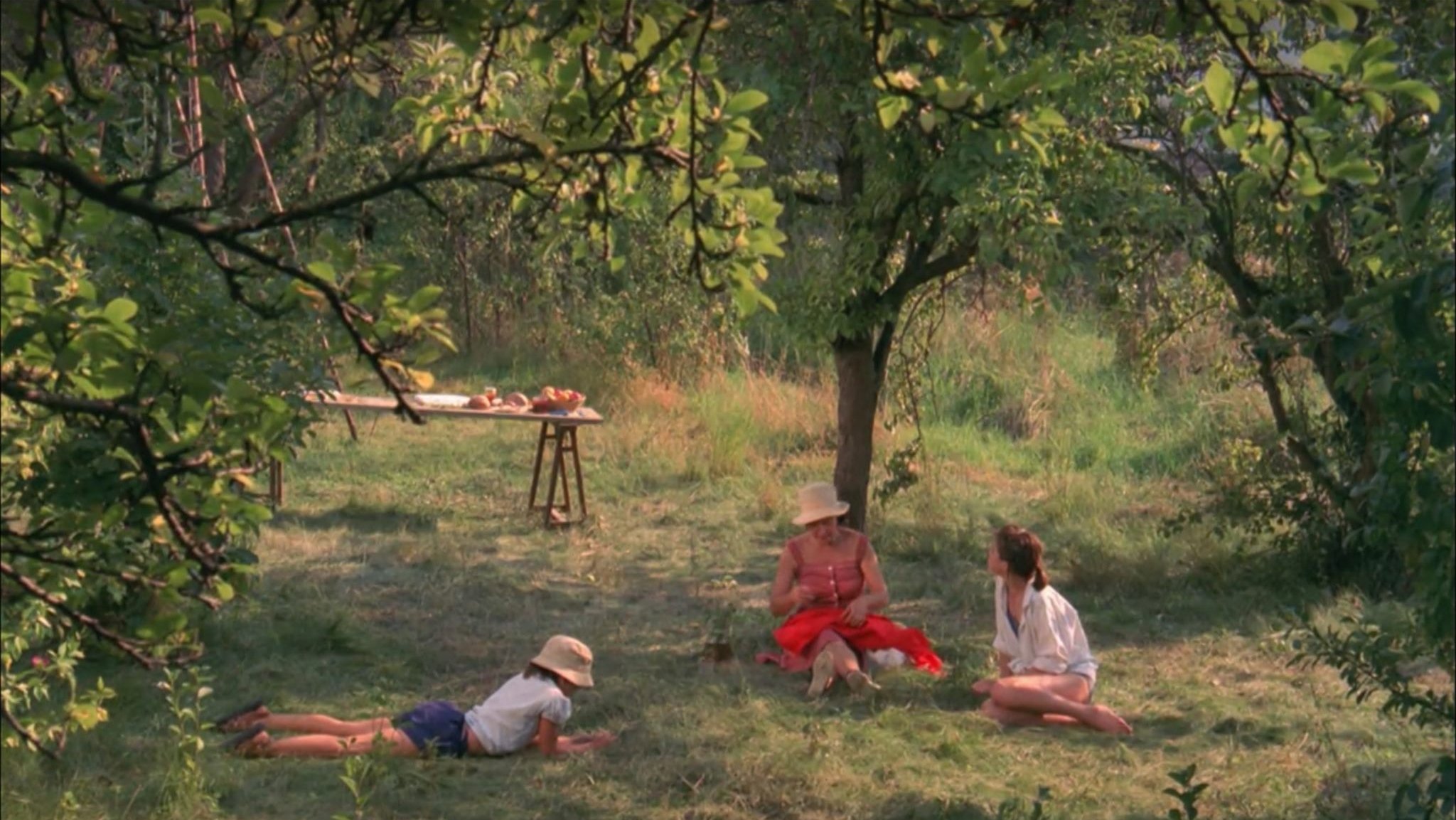 Backdrop for Celles qui restent