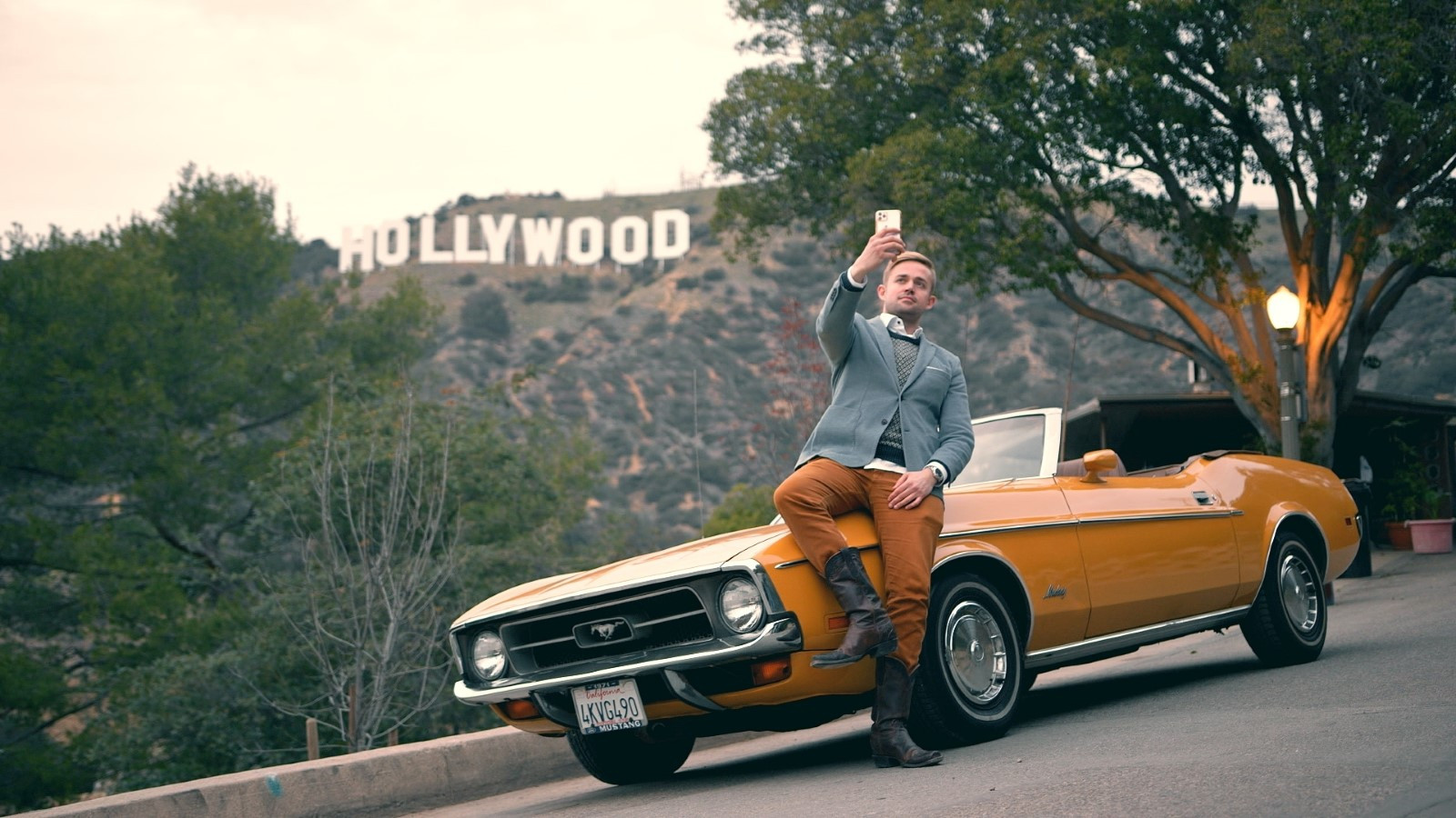 Backdrop for Goldhammer