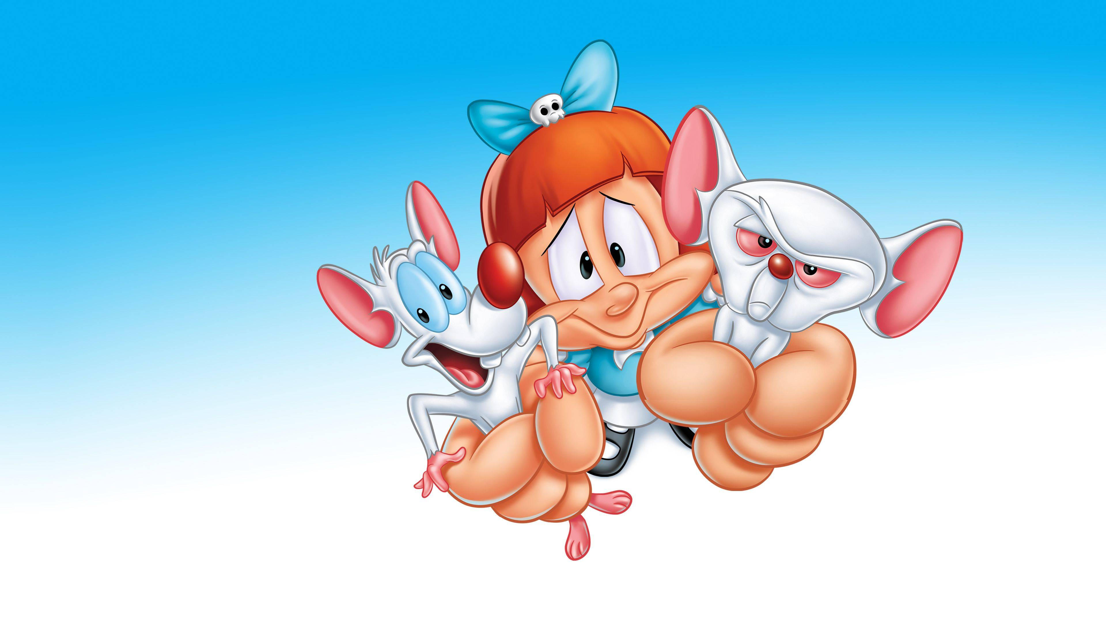 Backdrop for Pinky, Elmyra & The Brain