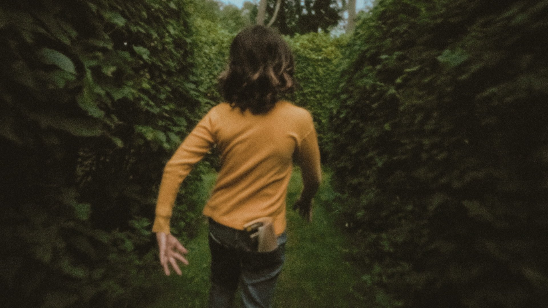 Backdrop for In and Out of the Hornbeam Maze