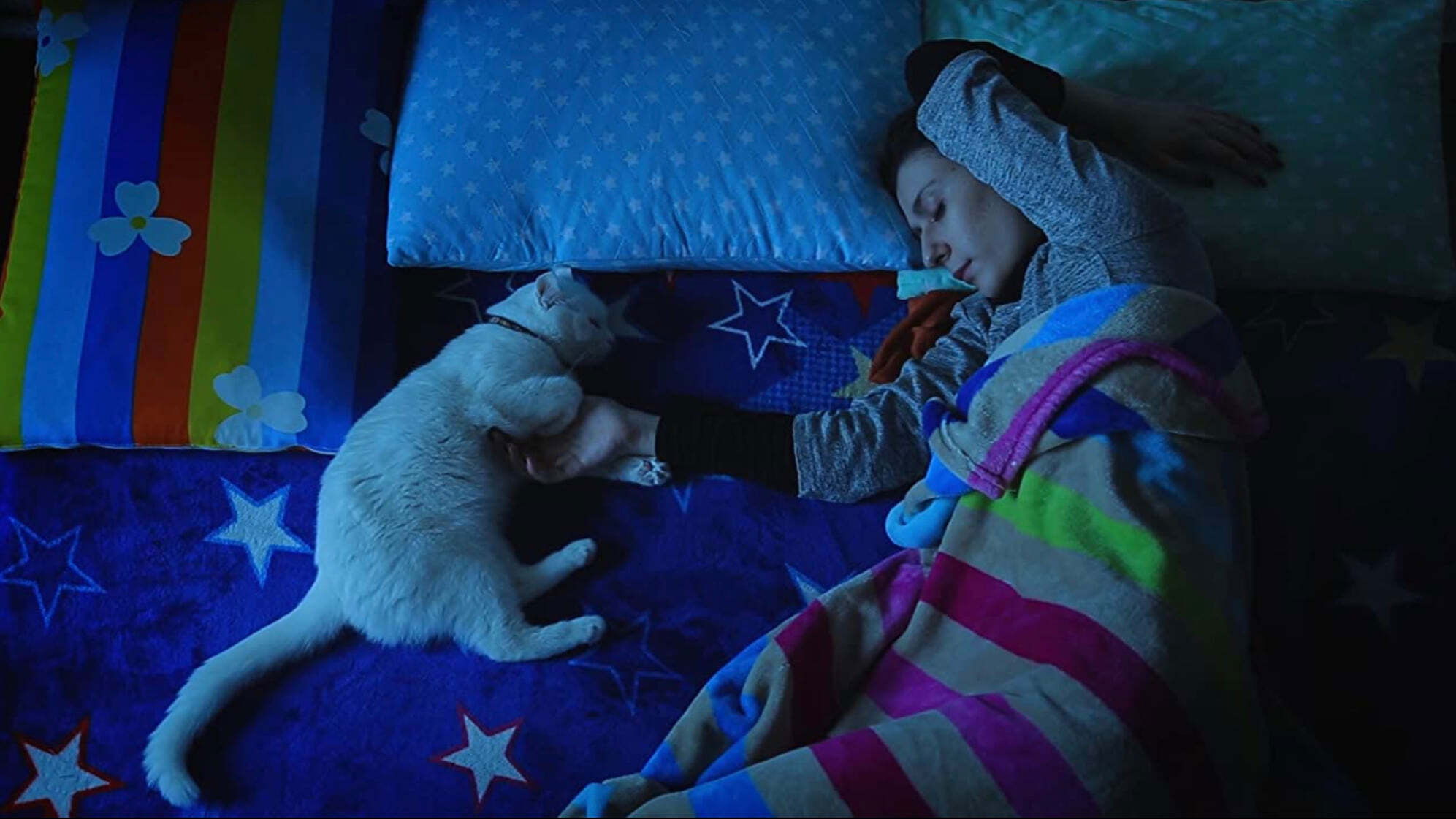 Backdrop for The Cats