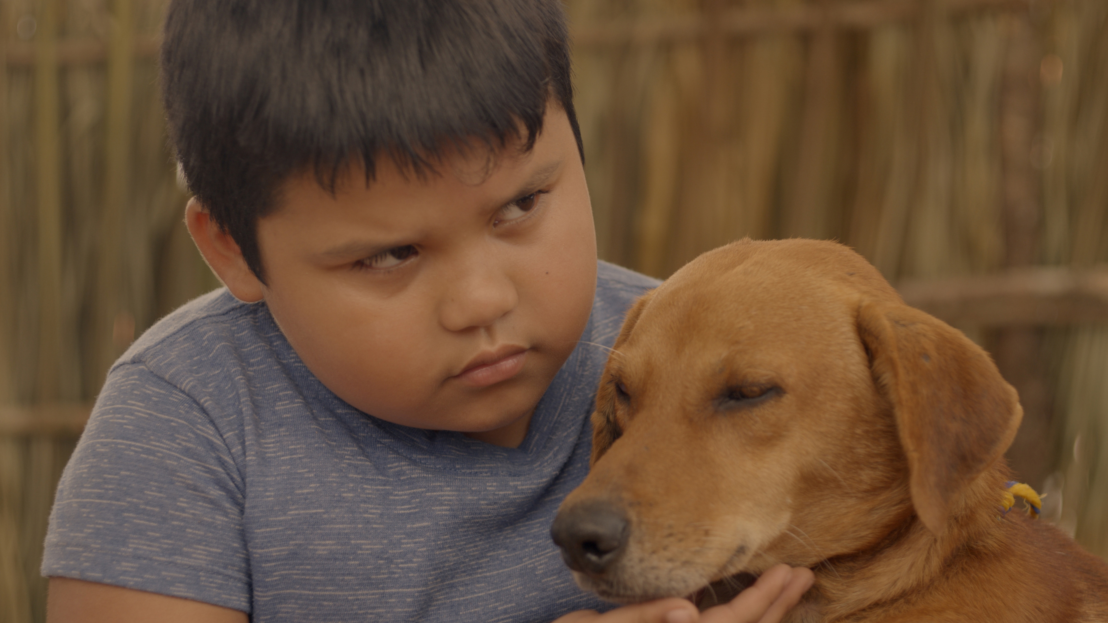 Backdrop for Xibalba Monster