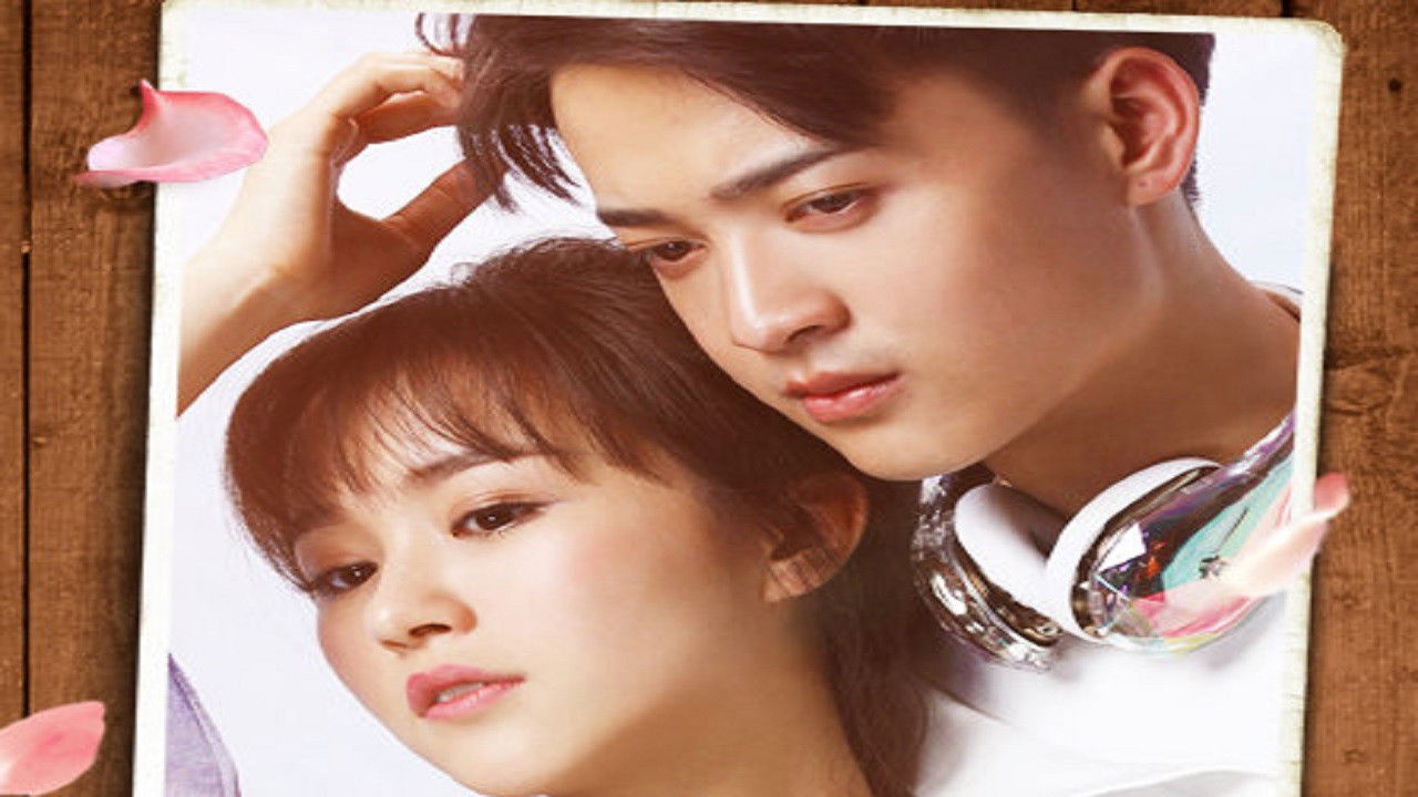 Backdrop for True Love, Liar, Little Love