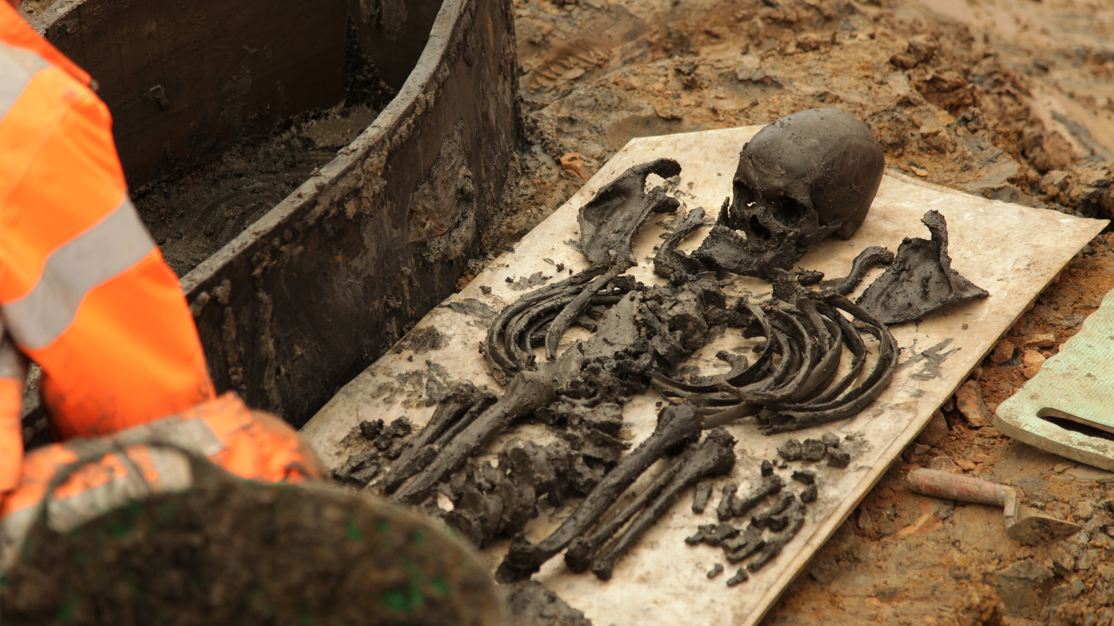 Backdrop for Britain's Biggest Dig