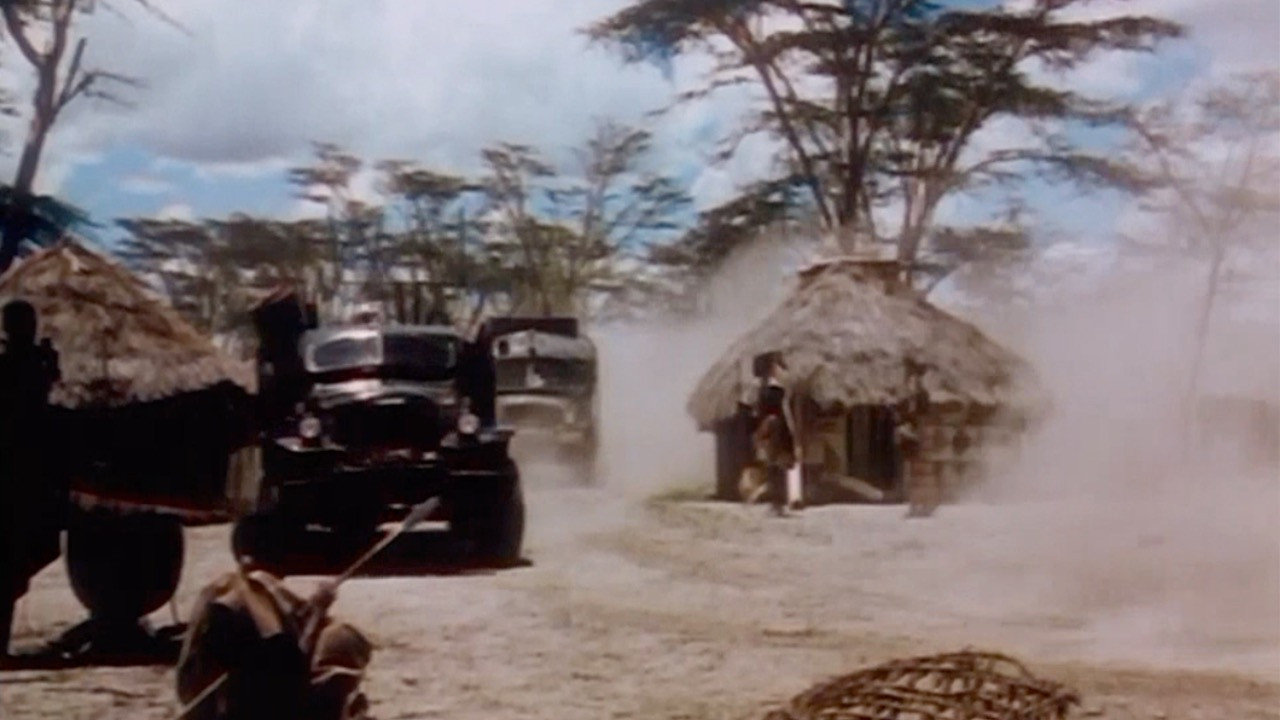 Backdrop for Jungle Safari